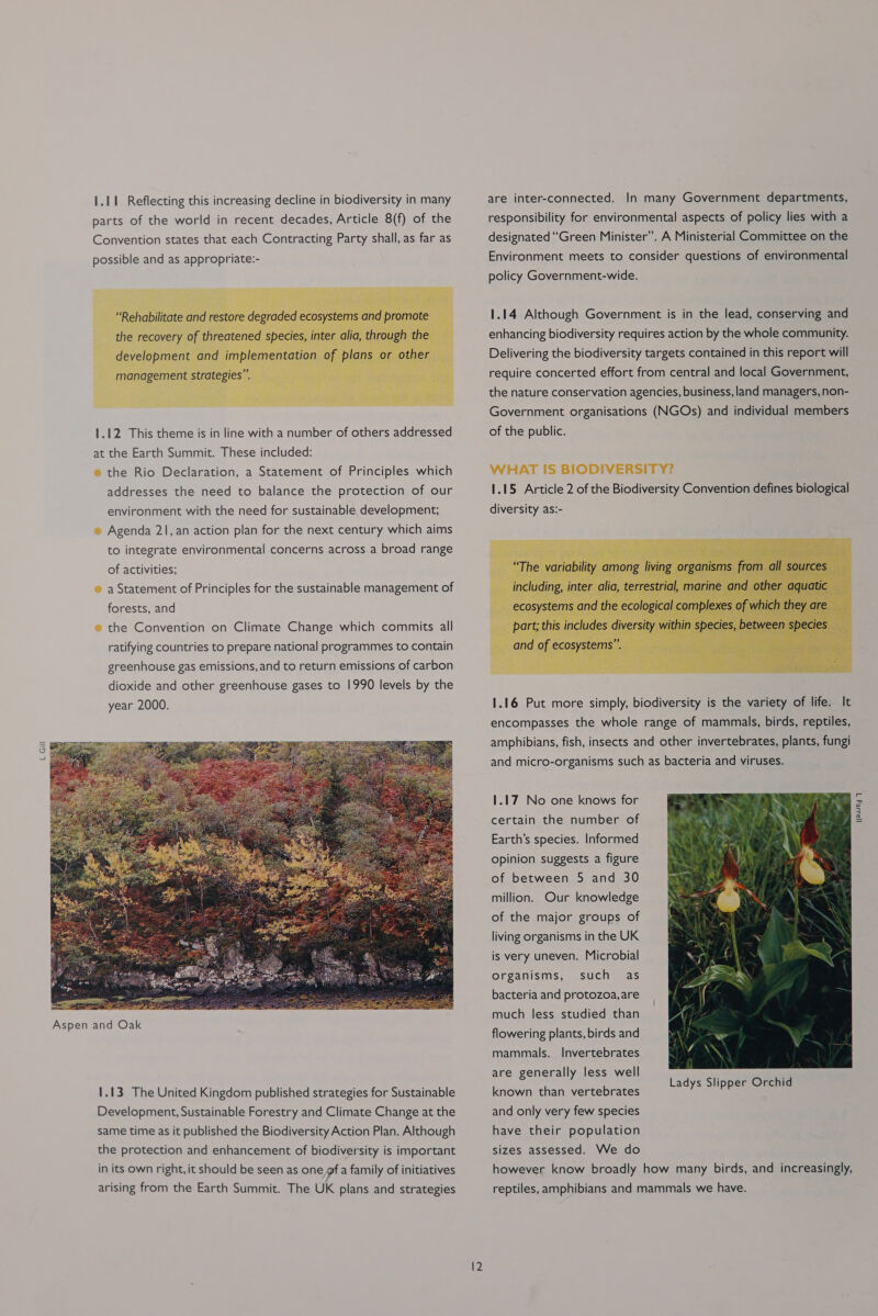 L Gill parts of the world in recent decades, Article 8(f) of the Convention states that each Contracting Party shall, as far as  1.12 This theme is in line with a number of others addressed at the Earth Summit. These included: ® the Rio Declaration, a Statement of Principles which addresses the need to balance the protection of our environment with the need for sustainable development, ® Agenda 21, an action plan for the next century which aims to integrate environmental concerns across a broad range of activities; ® a Statement of Principles for the sustainable management of forests, and ® the Convention on Climate Change which commits all ratifying countries to prepare national programmes to contain greenhouse gas emissions, and to return emissions of carbon dioxide and other greenhouse gases to 1990 levels by the year 2000.  1.13 The United Kingdom published strategies for Sustainable Development, Sustainable Forestry and Climate Change at the same time as it published the Biodiversity Action Plan. Although the protection and enhancement of biodiversity is important in its own right, it should be seen as one gf a family of initiatives arising from the Earth Summit. The UK plans and strategies responsibility for environmental aspects of policy lies with a designated “Green Minister”. A Ministerial Committee on the Environment meets to consider questions of environmental policy Government-wide. 1.14 Although Government is in the lead, conserving and enhancing biodiversity requires action by the whole community. Delivering the biodiversity targets contained in this report will require concerted effort from central and local Government, the nature conservation agencies, business, land managers, non- Government organisations (NGOs) and individual members of the public.  1.16 Put more simply, biodiversity is the variety of life. It encompasses the whole range of mammals, birds, reptiles, amphibians, fish, insects and other invertebrates, plants, fungi and micro-organisms such as bacteria and viruses. 1.17 No one knows for certain the number of Earth’s species. Informed opinion suggests a figure of between 5 and 30 million. Our knowledge of the major groups of living organisms in the UK is very uneven. Microbial organisms, such as bacteria and protozoa, are much less studied than flowering plants, birds and mammals. Invertebrates are generally less well known than vertebrates and only very few species have their population sizes assessed. We do however know broadly how many birds, and increasingly, reptiles, amphibians and mammals we have.  jeusey 4