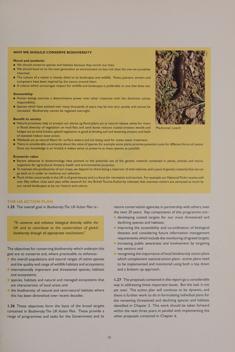 WHY WE SHOULD CONSERVE BIODIVERSITY weg [ Moral and aesthetic e@ We should conserve species and habitats because they enrich our lives. e@ We should hand on to the next generation an environment no less rich than the one we ourselves inherited. @ The culture of a nation is closely allied to its landscapes and wildlife. Poets, painters, writers and composers have been inspired by the nature around them. e@ A culture which encourages respect for wildlife and landscapes is preferable to one that does not. Stewardship e@ Human beings exercise a determinative power over other creatures: with this dominion comes responsibility. @ Species which have evolved over many thousands of years may be lost very quickly and cannot be recreated. Biodiversity cannot be regained overnight. Benefit to society e Natural processes help to protect our planet, eg flood plains act as natural release valves for rivers in flood; diversity of vegetation on mud flats and sand dunes reduces coastal erosion; woods and hedges act as wind breaks; upland vegetation is good at binding soil and lessening erosion, and beds of seaweed reduce wave action. @ Wetlands act as natural filters for surface waters and are being used for waste water treatment. @ There is considerable uncertainty about the value of species, for example some plants promise potential cures for different forms of cancer. Since our knowledge is so limited, it makes sense to preserve as many species as possible.  Economic value @ Recent advances in biotechnology have pointed to the potential use of the genetic material contained in plants, animals and micro- organisms for agricultural, forestry, health and environmental purposes. @ To maintain the productivity of our crops, we depend on there being a reservoir of wild relatives, and a pool of genetic material that we can go back to in order to reinforce our selection. @ Much of the countryside in the UK is of great beauty and is a focus for recreation and tourism. For example our National Parks receive well over fifty million visits each year, while research for the British Tourist Authority indicates that overseas visitors are attracted as much by our varied landscapes as by our history and culture.  1.25 The overall goal in Biodiversity:The UK Action Plan is:- nature conservation agencies, in partnership with others, over the next 20 years. Key components of this programme are:- ® developing costed targets for our most threatened and “To conserve and enhance biological diversity within the declining species and habitats; UK and to contribute to the conservation of global ® improving the accessibility and co-ordination of biological biodiversity through all appropriate mechanisms”. datasets and considering future information management requirements which include the monitoring of agreed targets; » increasing public awareness and involvement by targeting The objectives for conserving biodiversity which underpin this key sectors; and goal are to conserve and, where practicable, to enhance:- ® recognising the importance of local biodiversity action plans ® the overall populations and natural ranges of native species which complement national action plans - action plans need and the quality and range of wildlife habitats and ecosystems; to be implemented and monitored using both a top down ® internationally important and threatened species, habitats and a bottom up approach. and ecosystems; ® species, habitats and natural and managed ecosystems that 1.27 The proposals contained in this report go a considerable are characteristic of local areas; and way in addressing these important issues. But the task is not ® the biodiversity of natural and semi-natural habitats where yet over. The action plan will continue to be dynamic, and this has been diminished over recent decades. there is further work to do in formulating individual plans for the remaining threatened and declining species and habitats 1.26 These objectives form the basis of the broad targets identified in Chapter 2. This work should be taken forward contained in Biodiversity: The UK Action Plan. These provide a within the next three years, in parallel with implementing the