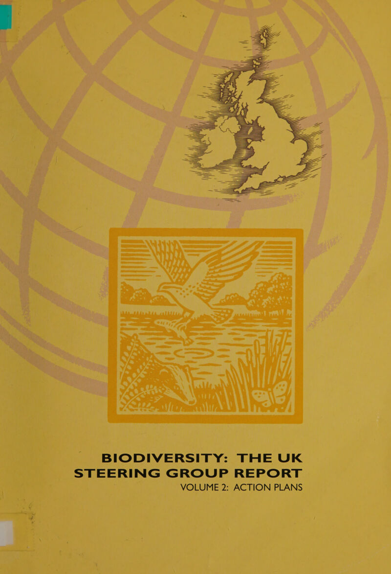   + BIODIVERSITY STEERING GROUP REPORT THE UK VOLUME 2: ACTION PLANS