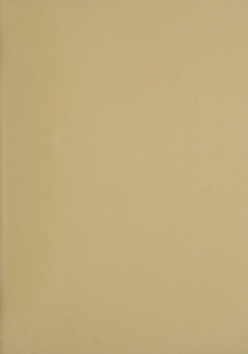 =   = ———  ‘&gt; — —— &lt;&gt; P ony er i , yi ya ite IO CS as a ORAL AMOS eta SG is Me RE Le . Ay i, rn f a A ye ee e 