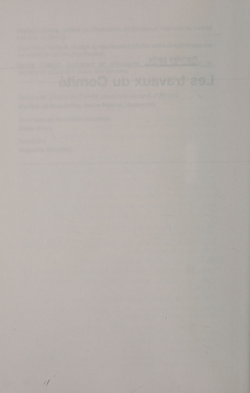    ‘äfimo Ge mt XUEV ‘ | FER CARS 7} È f wi di d'a or s-Nitren Lhummet * CES  