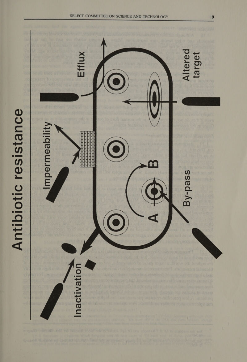 Antibiotic resistance Efflux a nn   vane G  Inactiv  Altered By-pass target 