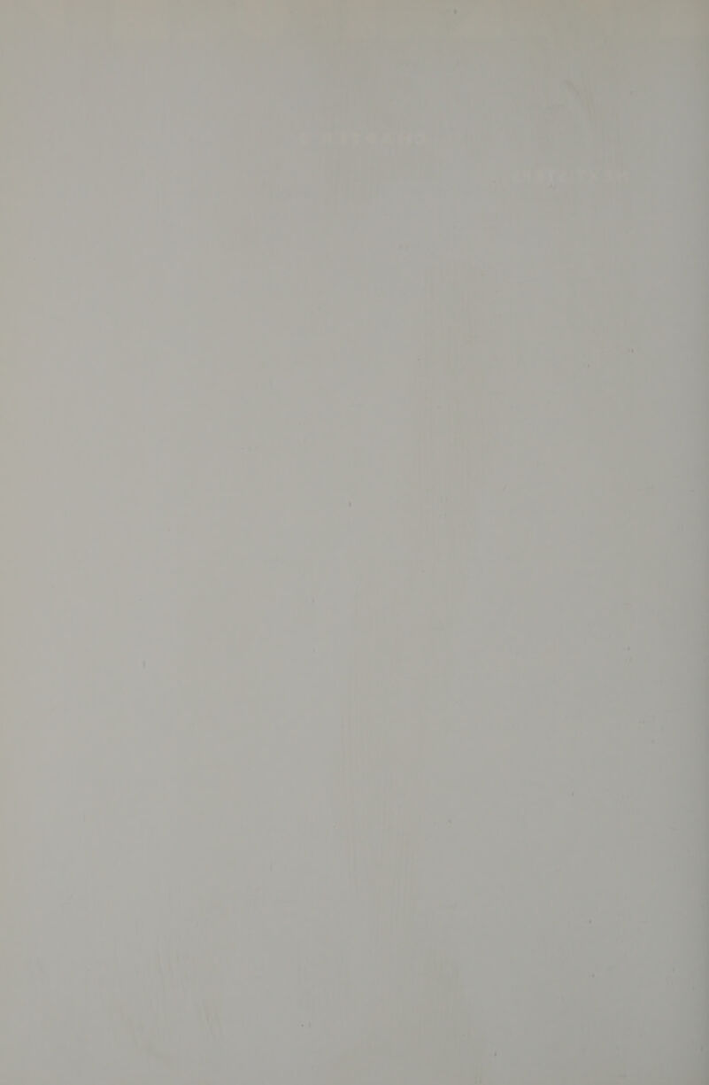 a i ’ = ge’ _ iu het, ih 4 Bele. FITTAHSU : : : aa ai * Bt a A ae H Raper ‘ode a 7 - _ 4 =