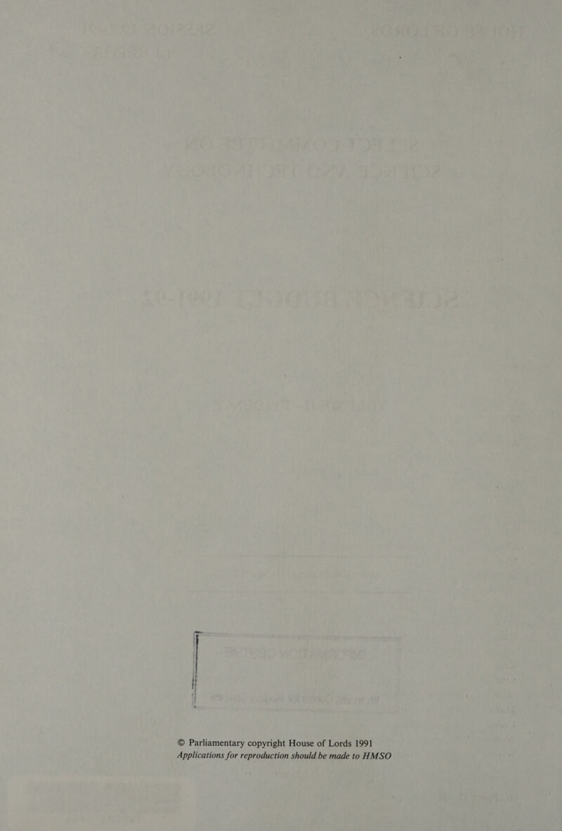 —— © Parliamentary copyright House of Lords 1991 Applications for reproduction should be made to HMSO