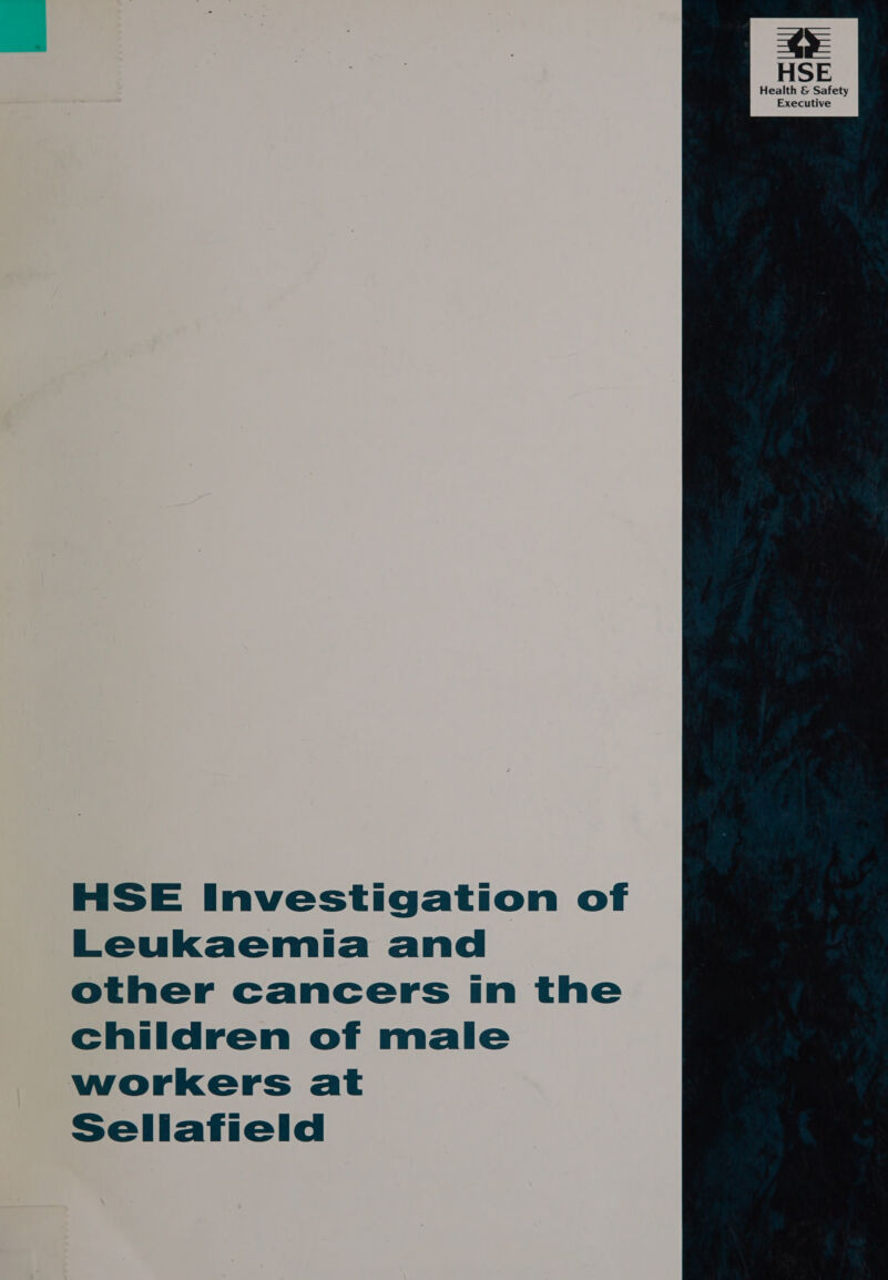 HSE Investigation of Leukaemia and other cancers in the children of male workers at Sellafield 