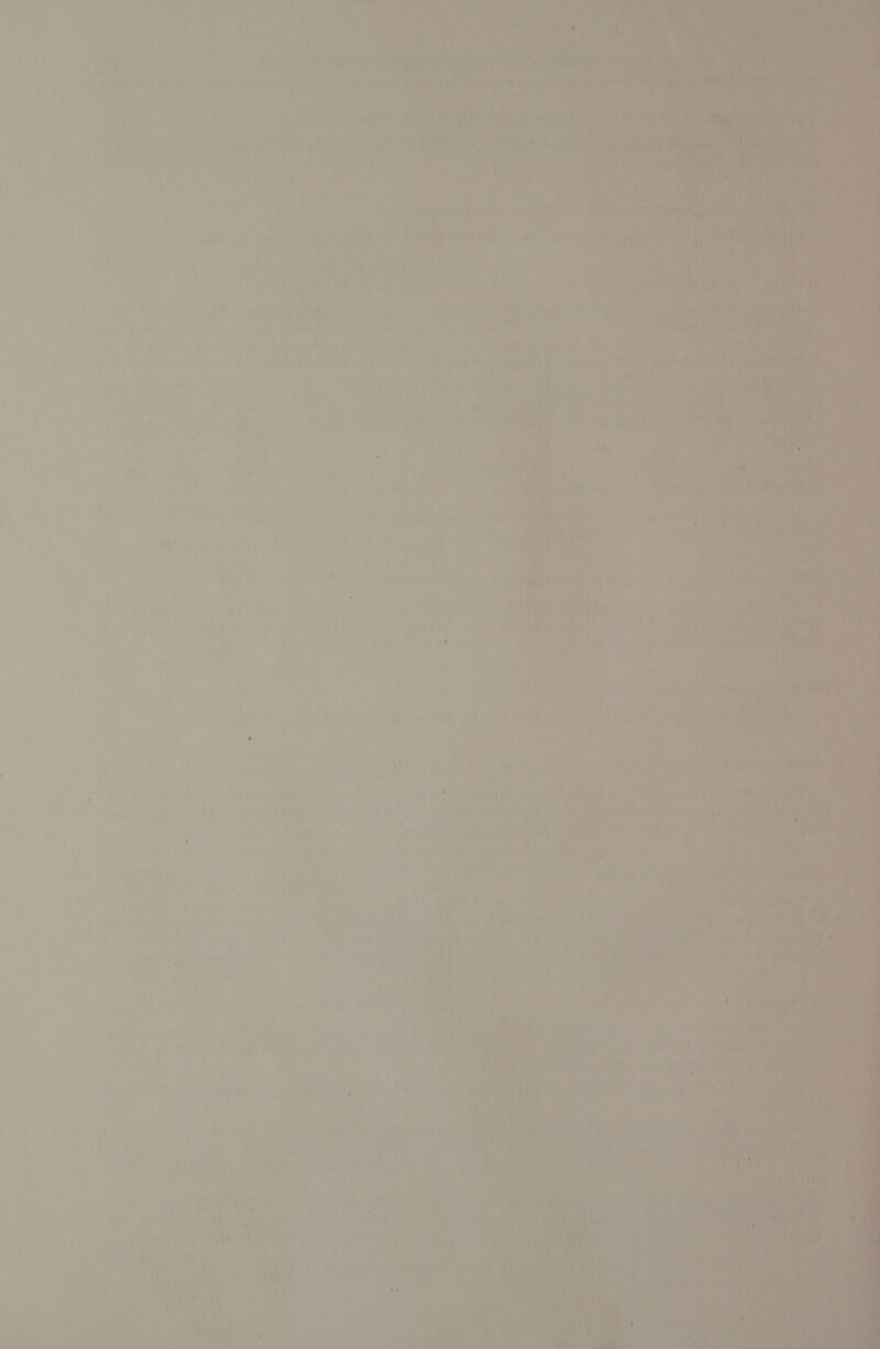 7 ae 1a) 0 ay Ah) TNE F) : rf a (ih ivi vs Can} hs ate Rtas ‘a ot | da xt el bed a rer. 4 me's alt a7 x i i. ay ad 83 vy ’ Bish po ddr ine et he Ae im on ay Ohne 4 Oe) oe ee VET Ae ah © eek i ney apace eit iy adie y 4 4 alt Wi rn if 3) ¥ ru F A , PPT e em ere wu? q ‘ - ‘ es . é y es 4 ig ’ Z Vag f \@ j i Dal A ¥ i A ‘@ ' y 4 7 ‘ i rid : < pe art ba ed! ' Aid» Boks hak aah a Tone Fig | sti, . ; nm , arn 7; et ca *