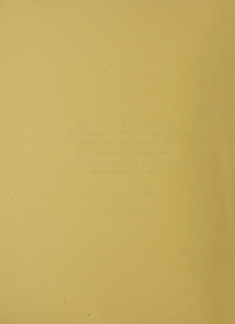  *) ey: car Ps WA Oe Pr Fae ees te ae 2 ata ee bite | a h VCUR NA tte cated ; .   - = ee wit Sreiranty Syd ee 1Om, MH ‘st wae PEW RS Se 08, + peli’, |: See e - ~ &gt; rd Pia y j p - es ‘ ¢ i“ ' « j oA