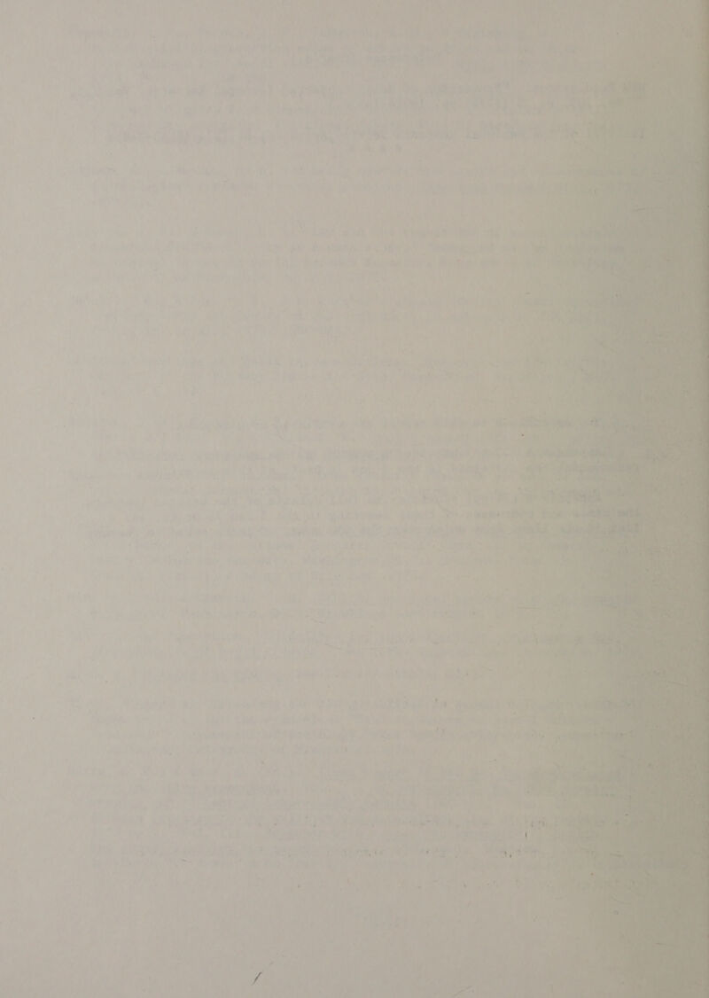 » ’ ; ‘au; A ee Pore | a              fo, Des ’ 2 i : ’ i ‘meng ae aA he ae eon old iia eee ia ara | ites at a arene litte i Ly i: ‘ ' } ia Sa ¢ ; » cay Pie f iahy om ar cae A) SING aa aca hike DOA a (Ay (a Saw t ae baa, § A a = 4 be i ou &amp; ‘i t ; ebay , a gS pos Ar t ‘ ; a ‘ a Ter Rie 4 ' a a | i ’ 5 * 1, ¢ a P A rh eee ‘ h| i f * * = ‘ ell § /. por, 4 ‘ rs ore on. Si? Re a ot ey 8 pale et eh, EST “FF } f ee — Ps * ~. + es Ate ; % is : , Fee Y aye k Se Rr 4 ’ srt t 4 cai , f i i » hy } x pe tig : e re. Tome a n on let ‘ N ‘ vi 7 a “4 he Par ’ ane 4 t 2 2 j 4 ead . = 5 J +4 wag! , re 4 eS LP cha pt H te ur I -“ ; . ’ th es a , si >i , . ay ; du 1 hae et ‘ = ee. ' =, ‘ id +s hte pts fa oc ; ; B rgd e's haber Cowie Peete we WR sungeth i>, aya es CA Bat arly EE ate A oa tae ae ee . ‘ iy ae i . ry Lye Ki . 4 A j \ : a hey A. } oe yi te ae ae ‘ : 4 f ities hae —° eek 4 bee ‘ i eee ie ey A AOS ae eh on ¢ res : Serge ta we i ant , ’ iy, : ne A 7 =f m3 Mer ree tree tat hae ca RIES : UE am yeni ue &amp; , a) | oa mie vie D Ba Bape keg tae CG), pi  ete } v fil pay a 5 teh ad i 