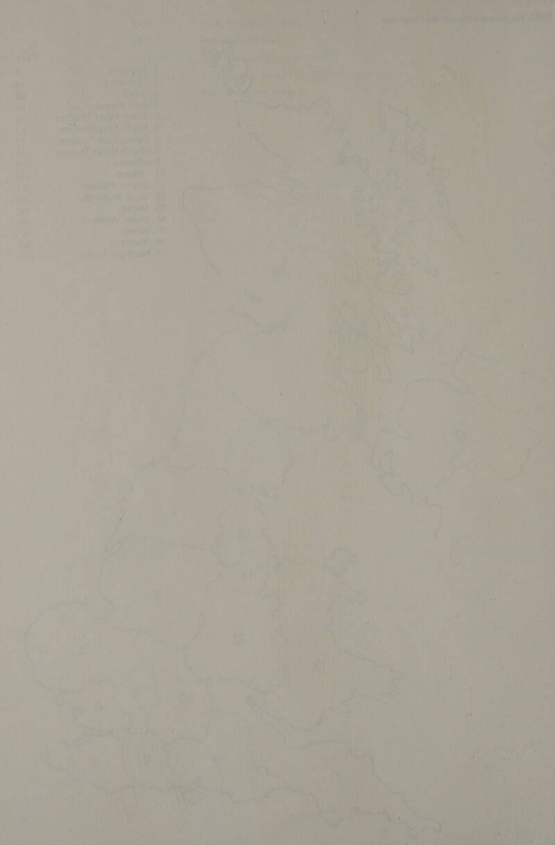 Cee odie: eo Scie : ware os ® » cove « “a ns Ly ¥ mn rm : f . oh at AN ¢ ke ; ; 100 Tene aa Tae Lidht , * hae b] * (7 aeriaiiu'l rad By pave BF. rpm ARO BP soto Me ones? csyipadA eT 