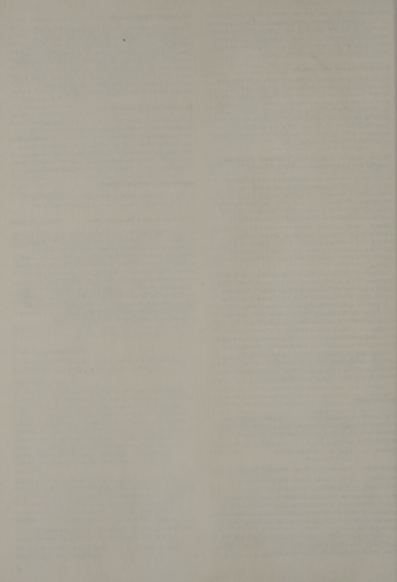                                  eee ee: Nts Manca   ae Pie ee si tre heidi = met Pettey sBtinet i %E ¢ —- aes. ‘Hay ae 1 : Ay « Seen mest ab ”~ phlane ’ ak eekly 7 oo ab aed Ri de . Bing i wer 8 42\% wh ee ies ra a , Geer? wees : ; ¥ a - ; its energ pent Ont eile ay Pr le iy we , POT uate: po ciate a7 aire 7 eer) Rea ee . “i * bises apna oe ui ais! rantes — oy ’ te oH rites ae BH AEP as Pili » at ated ners wp 00 ® Bip is Vy es dy nore; Ye ee panes wih fh areas é Pir ‘ ya ae iy ‘Dax 2 4    nv via . { tebe ana Se N iret we” ey iets, piety has : ; ; ayy i WN a A el A bh Aye ei): i: é Show A a, , ees gly Ie y! hea fin rane 5 ite bie hy fy rel ot akigien SOE, erro? 4 rR mM Wi ets ee Wis, co ap c av ee i ieewns oheyee @ weir fF Sag 24a (pe i sar Rec ee ‘eo ; yao (ange cveg yA tae, ae a es j caw af ae [ i mT f ‘ oa i Ma ; ms asp 19 a e teres iG Nisatbabe ii: in <pignlek gina aha De A a i a fa wera “re Tye) (IQigt it. i ~ “i : iti. hy . ‘ bp Sade phe ee ibe ob ; “ Are (958: 4 7h : 1 @ ieee CPP figs He ts pee a aa yi ORAS de 2 SR a Wp ai se ss AN Aa Ys: TL rr 3. : 7 7; ‘abt na vr y ' a by ?; Vi trin os; de Os withheld Pass = pers y ~oanee ar Rs he apt Te) | aa. oe vin beeaan ee ae _ by rye : ee Vere 6 , rx : a Wal owe ie 8 ot Ga win lA ue ee wi ekapa BT ea i eatin ae he ee ne Aa ee Pr ak a Mae ie One | 7: anaolioniaade .0 4a ee Pree eo POAT (an) Se vital agite Rad Abi! Wee Qiity Gees Coke 4 eet a ‘ pi sf : + idlal tae: * >) ae Ay ei Paria: pee, nite Te. a0 FR 4a oy) eer > LORE ‘ht eee ; an SQA ty 'iMout tee! Pat reer pail fal Pe re a 7 wal . | ig eh pee te Ni t : NGO : ha Po <9? leh eG ene i tal yo ¢ a ale a ae bak pf ae Aiea) phat iene o8 r 198 | 7 < i “che pave er) ab. tay a a pe ‘= ait . Cnn eo ne Cae rae Bu: . . 458 , ¢ é ~~, ra habe | oe as, Ae 005)4 oh ¢ Ap abic iw van           - piigapel” eee oH px is (pea Yah paae oe ( = st iy 5 peed , ton ach eats Caan Anas oo Lich , “ie Nii de ' ; ~ hath ye re We . she eved ve - ee ts ' : ‘sb ei as a eS A Pe hep : 7 ‘? ete > — yi ‘ y r i. he : ivan aie Fe Ay ri a<-is ; le ; Ck) ere ¥ - a     r > elle /yijaepichal Niem [ee eyes ey ' isl an ie hia, : f ' ‘is ] ie i a ue P rn _ ae Md ae r ha ‘ ; | a whe Fa eeie Pociy sil A SN aeeser etaeosa oD ne pe: * 7 es nek patentee ‘a ; ‘om 2 NT Re hte» 45 sha se , tie “pas @ Pir 6 - <8 enol ae ah | syst : Ne aor — ami              