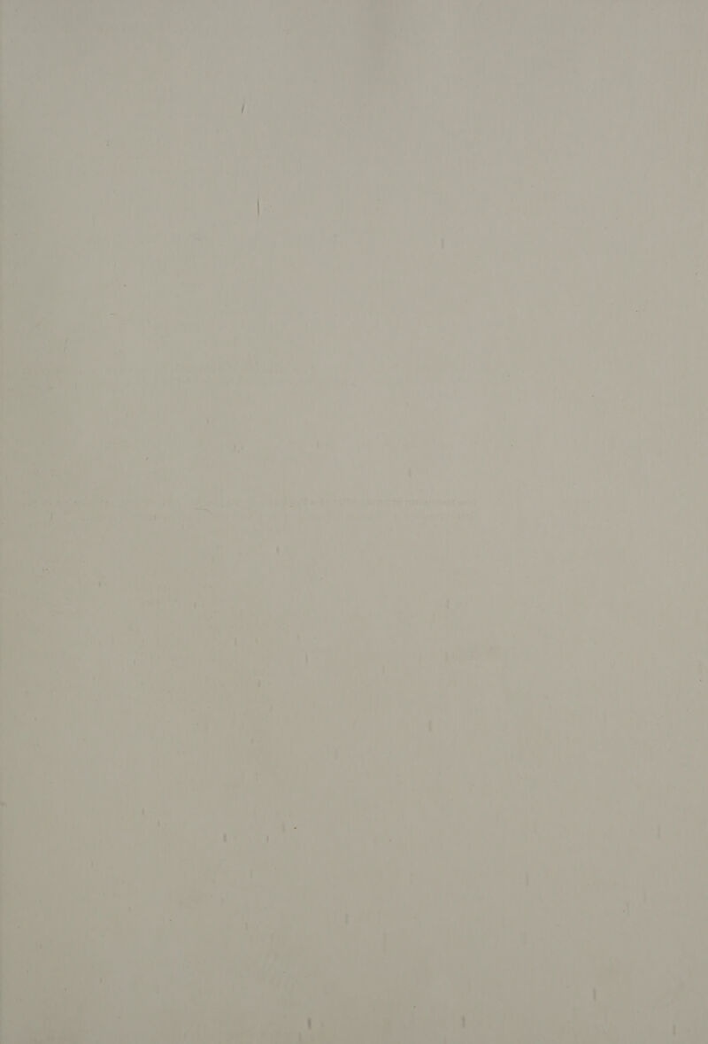 TH ae @)  oh i ie Tair a : 2 f ae _ ws ri i gene . 1 Ror n ‘ i 7 7 7s 1 7 v » f ’ f we 4 4 } } .