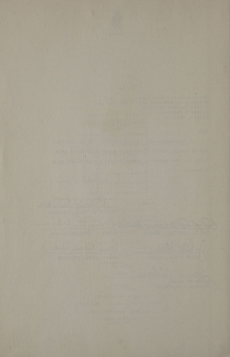 Bye aera ‘agartcnn et tu ner PERR ss . by ee aie Me oe a wt So! ae oe 8 WAGs kee ed:             Nid fe - nM woe : rt f : j ’ f Wei Cb RE ey se a bn Ms ‘9% Pee cree, wee 18 At i)  ¢ ’ ’ all) ; 4 : . ¥ } u = é a’) Da . | ; hare tei 84 ee nam OL hye e; bait    ee | | aren Parmar ene wad a y F ai JAPA ore i Fy ek ih j 1 \ yoy - Z ie ' ; a = , z r f Re ¢ rR teal } ptr eet eS a oe tiv | - j ‘ Fs j 4 7 De i { ‘ ” 1 tA 4 ey oy. ae bys a : ? / » J i yy , 4 ' 4 ‘ shee ye Cay Pe . ‘a tar’ ; a 4 ) | oe a. EEE k Sue Me MOLD ’  t fe, j , | u Py ) J a | 4! co] 2 \ ‘. 4 b Ve : { 7 P nhs rr F } - 4 : ae a jae De { . } : 3 ‘ -\q Y A A i ly te a a { ' 2 ; ‘ 7 F me TT} je ? ¢ Nee uy Ts car ahd) i -e of Po wii newt hes. seer ‘ ) ae pg =! Da Me dh a a 4 i . ‘ tie 2 ar . ; eat A TAY A oe aon f Bh eM . ‘ y f » (® 1 ¢ , a's ae tbs va vs Pim wes | ll A c - n&lt; Ww - Po ae tae ) s i “ ti ’ 4 bts ts i ’ ‘ ” ‘ ‘4 } Rs : 7 a 4 i Lt 4 ae | ; ee! ’ ( . &gt; 7 j 719 Jl Vf j f 4 y Be Loi : ' ' , f f iv \ 4 al UJ P Wy iv ey, a 1 i. a. oe i Paws \ | pi ye : Bi: 1 oo 5 7    “eis ti i Hone   ehh id v4 Rett ij j 4S 17 NT Pike Gav ON TEU hy * ' (ty “A a i eee. i \s 4 a vac f my ii Hy ’ = By i ae high Sra avs “&gt; a    