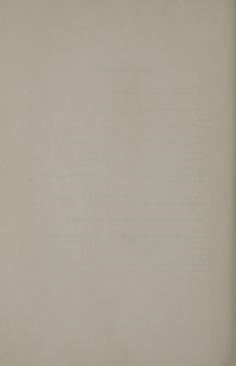                  } ' ul a, | A ake piietaee = Gteenne pes a4 a Ley ei ha ; Gl , \ able nth em ‘i ee een Pte ai ‘aaa yer 2s ee 1 2 A ’ a Kae clonic erie ae peat te eet ™ mA 9 ; ) f “a P ei Yar N ae sod), 4 tw r a orig ae 3 ca idee oa y é j ~ | i. &amp; y Hof 4 Laas i 4 veri atte rr “¢ Ke Y i Py a LP ; &amp; oie ” la7¢ a mae aks se RE Ta Kia re . = : ) Po | ee 4s sui 7s ; 47) Ai f ae cp} pret rere! ) se iw a dat | | | R sit | “VMAS OTE Gr RE OTe Sua aaa iat) oy : | RR ie if asextnan 7 “a J he ) ‘ ; os , 7 2 rel “ate +2 a ops eiBemet 1). Tet BOGS Oates TA oe