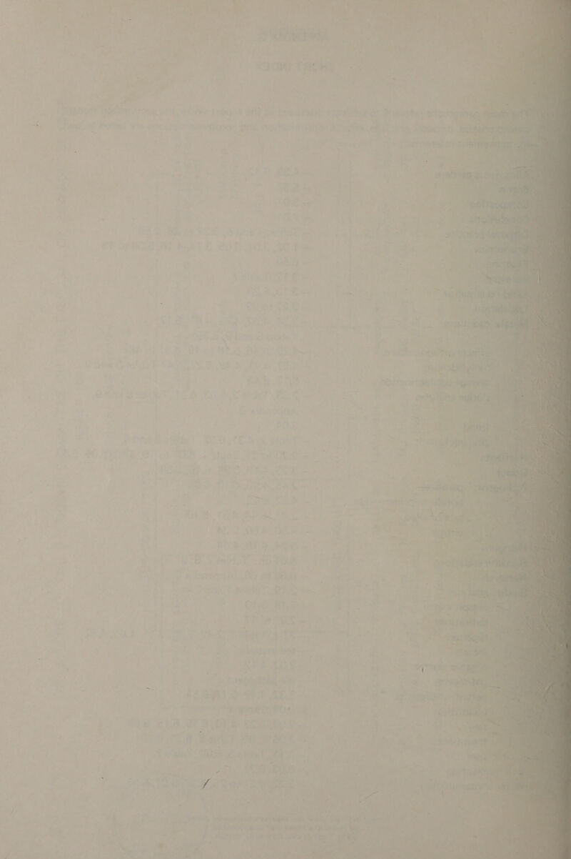 ’ t+ . . 4 - ay = 2 ’ ‘ Ta | - : t 7 qi. | : _ Ms 7 A Samer ot. We ipl .- 7; , a were = id +e ~~ 9 sé in M ? i > > uM ’ fq a ¢ ay® és . aed a te! oa ;: ee ese tre ie has ef 2 oa tee - 5 ~ zi, 