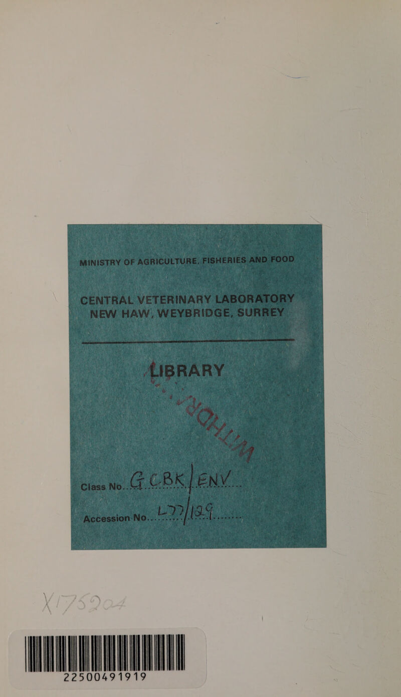  \ § WMC 22500491919
