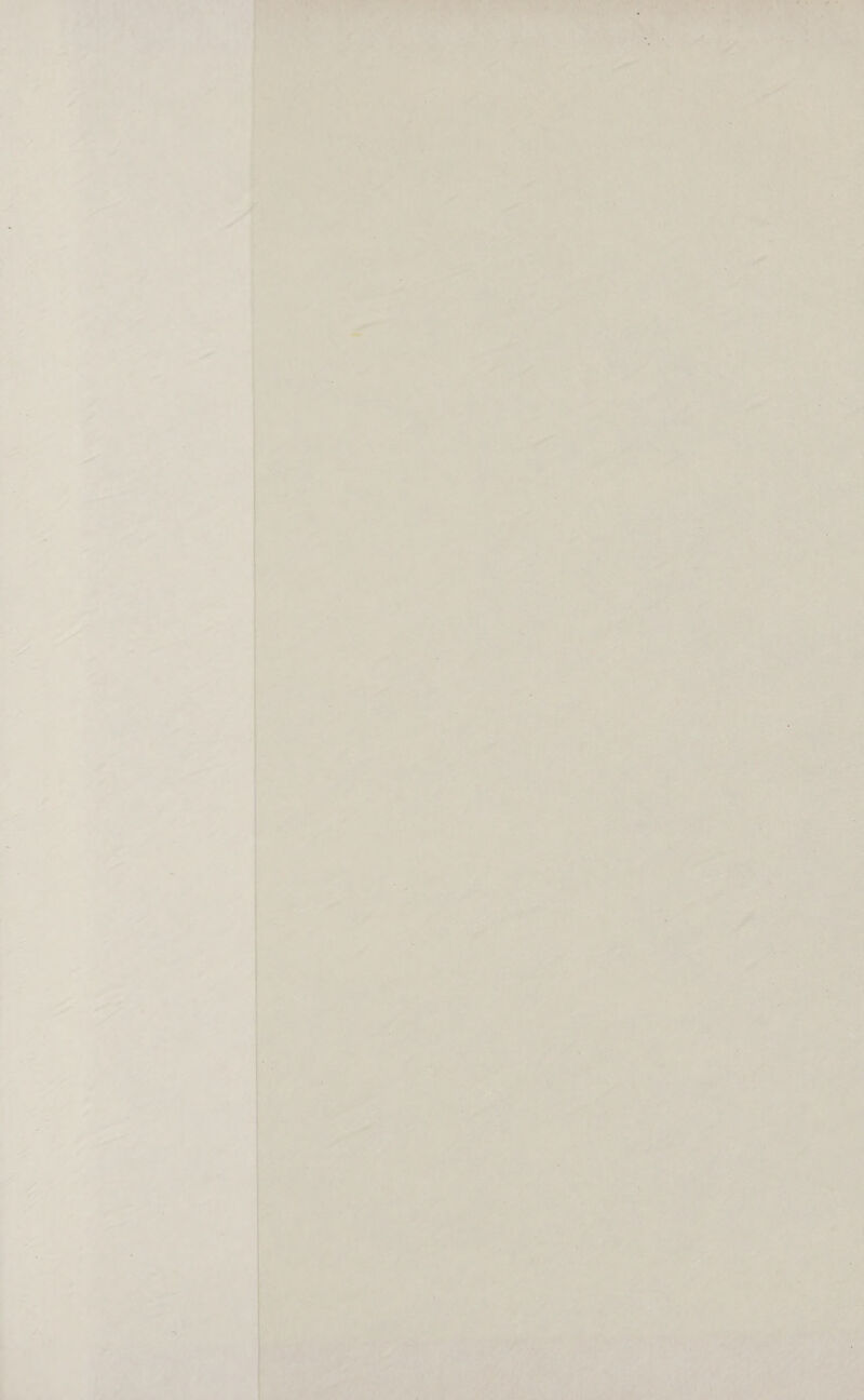 ‘ b } . - ry iv ; ; x ; J ’ r- if i. : —— se } by in, . ay ng ; = Ve A y . ee > in w,- ive ; 3 2 7 + = 7 5 a aed oe id - a - é = = cy — ar = a ~ . ae E i