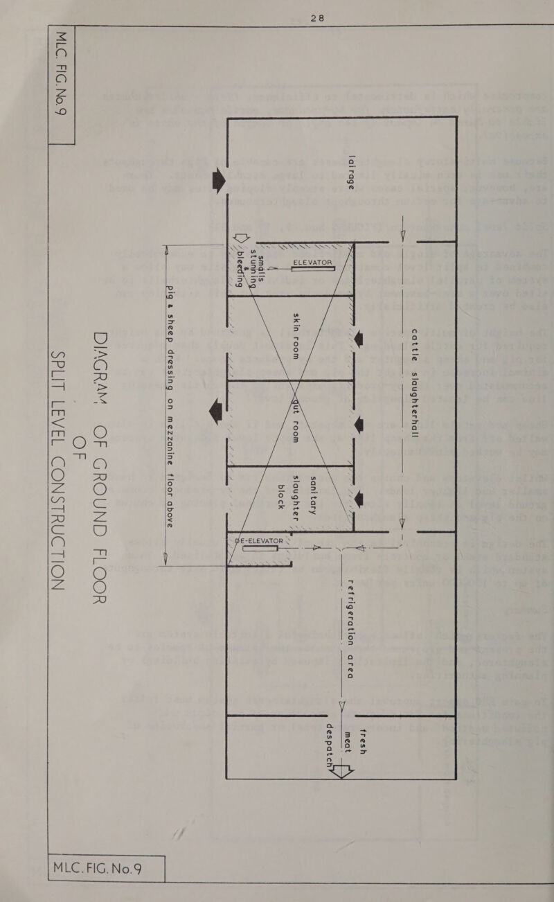  cattle slaughterhall  oes eS ee Re 4 eS) lairage (SSS fe yet ‘ Aa a i eee V refrigeration area meat despatch sanitary ? 4 = slaughter : block y smdil{s stunining te eS   ELEVATOR a SENS SGONES ~ DE-ELEVATOR Sf 3 pig a sheep dressing on mezzanine floor above  —  WIR ey Oro ROUND-FROOR OF MLC. FIG. No.9 Bul iteeviel CONSIRUC TION 