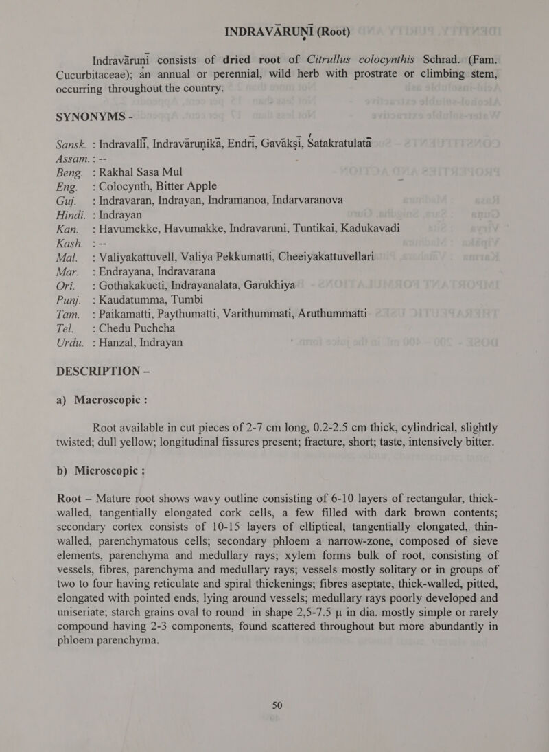 Indravaruni consists of dried root of Citrullus colocynthis Schrad. (Fam. Cucurbitaceae); an annual or perennial, wild herb with prostrate or climbing stem, occurring throughout the country. SYNONYMS - Sansk. : Indravalli, Indravarunika, Endri, Gavaksi, Satakratulata Assam. : -- Beng. : Rakhal Sasa Mul Eng. : Colocynth, Bitter Apple Guj. =: Indravaran, Indrayan, Indramanoa, Indarvaranova Hindi. : Indrayan Kan. :Havumekke, Havumakke, Indravaruni, Tuntikai, Kadukavadi Kash. : -- Mal. = : Valiyakattuvell, Valiya Pekkumatti, Cheeiyakattuvellari Mar. =: Endrayana, Indravarana Ori. : Gothakakucti, Indrayanalata, Garukhiya Punj. : Kaudatumma, Tumbi Tam. : Paikamatti, Paythumatti, Varithummati, Aruthummatti Tel. |: Chedu Puchcha Urdu. : Hanzal, Indrayan DESCRIPTION — a) Macroscopic : Root available in cut pieces of 2-7 cm long, 0.2-2.5 cm thick, cylindrical, slightly twisted; dull yellow; longitudinal fissures present; fracture, short; taste, intensively bitter. b) Microscopic : Root — Mature root shows wavy outline consisting of 6-10 layers of rectangular, thick- walled, tangentially elongated cork cells, a few filled with dark brown contents; secondary cortex consists of 10-15 layers of elliptical, tangentially elongated, thin- walled, parenchymatous cells; secondary phloem a narrow-zone, composed of sieve elements, parenchyma and medullary rays; xylem forms bulk of root, consisting of vessels, fibres, parenchyma and medullary rays; vessels mostly solitary or in groups of two to four having reticulate and spiral thickenings; fibres aseptate, thick-walled, pitted, elongated with pointed ends, lying around vessels; medullary rays poorly developed and uniseriate; starch grains oval to round in shape 2,5-7.5 [५ in dia. mostly simple or rarely compound having 2-3 components, found scattered throughout but more abundantly in phloem parenchyma.