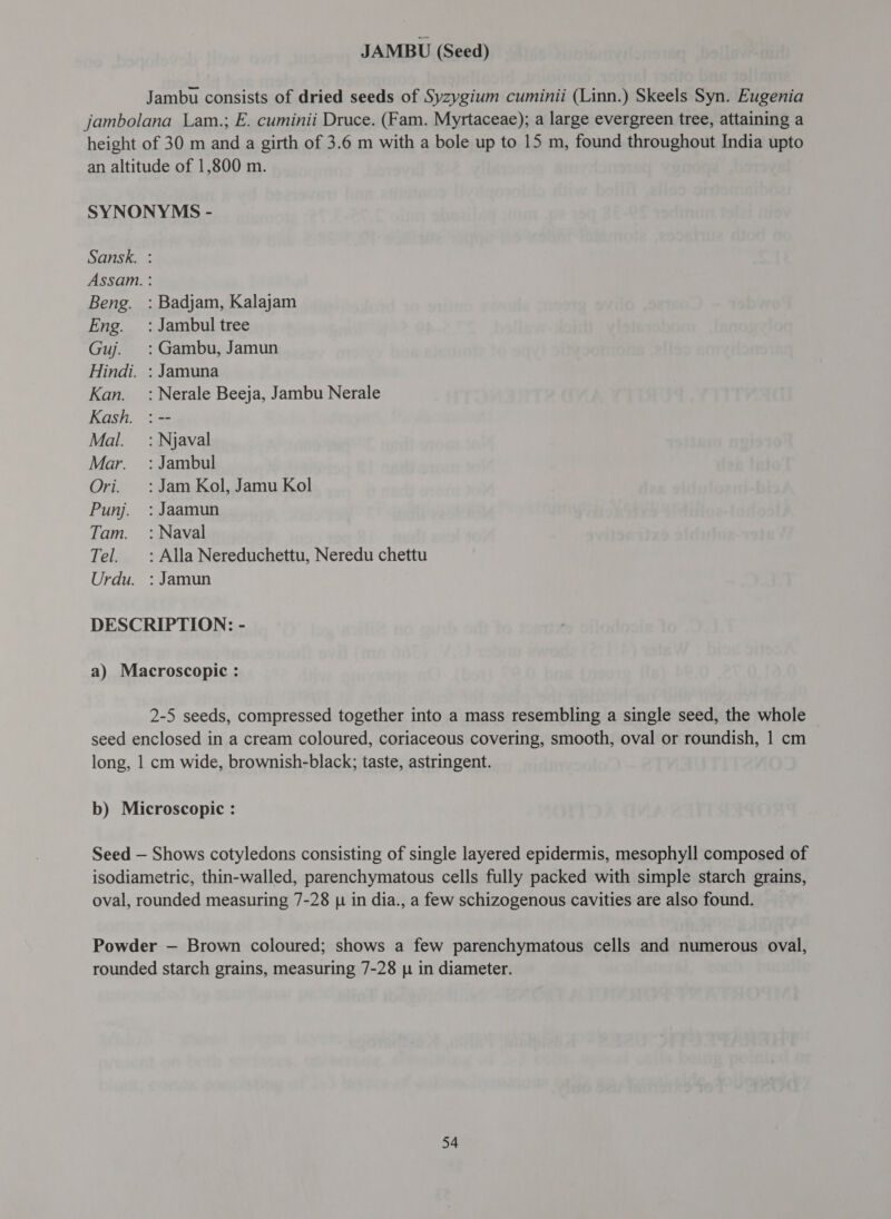 JAMBU (Seed) Jambu consists of dried seeds of Syzygium cuminii (Linn.) Skeels Syn. Eugenia jambolana Lam.; E. cuminii Druce. (Fam. Myrtaceae); a large evergreen tree, attaining a height of 30 m and a girth of 3.6 m with a bole up to 15 m, found throughout India upto an altitude of 1,800 m. SYNONYMS - Sansk. : Assam. : Beng. : Badjam, Kalajam Eng. : Jambul tree Guj. =: Gambu, Jamun Hindi. : Jamuna Kan. : Nerale Beeja, Jambu Nerale Kash. :-- Mal. : Njaval Mar. =: Jambul Ori. :Jam Kol, Jamu Kol Punj. : Jaamun Tam. : Naval Tel. : Alla Nereduchettu, Neredu chettu Urdu. : Jamun DESCRIPTION: - a) Macroscopic : 2-5 seeds, compressed together into a mass resembling a single seed, the whole seed enclosed in a cream coloured, coriaceous covering, smooth, oval or roundish, 1 cm long, 1 cm wide, brownish-black; taste, astringent. b) Microscopic : Seed — Shows cotyledons consisting of single layered epidermis, mesophyll composed of isodiametric, thin-walled, parenchymatous cells fully packed with simple starch grains, oval, rounded measuring 7-28 [4 in dia., a few schizogenous cavities are also found. Powder — Brown coloured; shows a few parenchymatous cells and numerous oval, rounded starch grains, measuring 7-28 p in diameter.