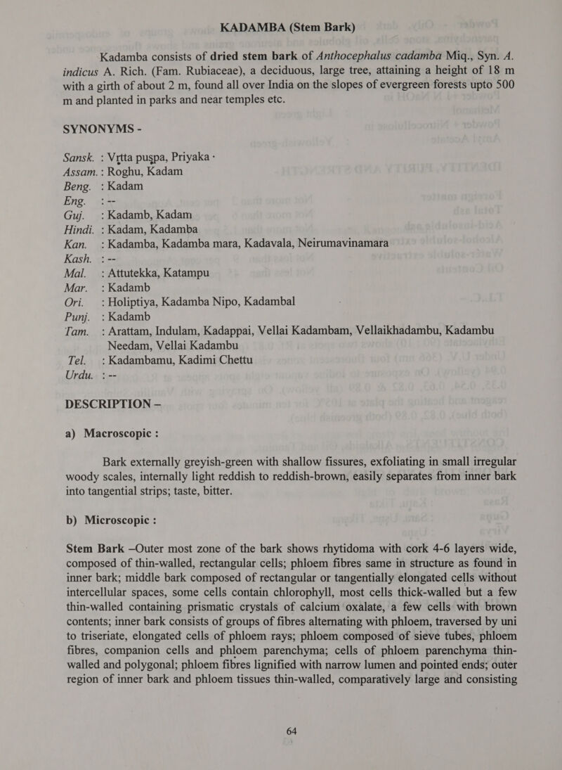 KADAMBA (Stem Bark) Kadamba consists of dried stem bark of Anthocephalus cadamba 1114. Syn. A. indicus A. Rich. (Fam. Rubiaceae), a deciduous, large tree, attaining a height of 18 m with a girth of about 2 m, found all over India on the slopes of evergreen forests upto 500 m and planted in parks and near temples etc. SYNONYMS - Sansk. : Vrtta puspa, Priyaka ` Assam. : Roghu, Kadam Beng. : Kadam Eng. :-- Guj. :Kadamb, Kadam Hindi. : Kadam, Kadamba Kan. : Kadamba, Kadamba mara, Kadavala, Neirumavinamara Kash. : -- Mal. =: Attutekka, Katampu Mar. :Kadamb Ori. _: Holiptiya, Kadamba Nipo, Kadambal Punj. :Kadamb Tam. : Arattam, Indulam, Kadappai, Vellai Kadambam, Vellaikhadambu, Kadambu Needam, Vellai Kadambu Tel. :Kadambamu, Kadimi Chettu Urdu. : -- DESCRIPTION — a) Macroscopic : Bark externally greyish-green with shallow fissures, exfoliating in small irregular woody scales, internally light reddish to reddish-brown, easily separates from inner bark into tangential strips; taste, bitter. b) Microscopic : Stem Bark —Outer most zone of the bark shows rhytidoma with cork 4-6 layers wide, composed of thin-walled, rectangular cells; phloem fibres same in structure as found in inner bark; middle bark composed of rectangular or tangentially elongated cells without intercellular spaces, some cells contain chlorophyll, most cells thick-walled but a few thin-walled containing prismatic crystals of calcium oxalate, a few cells with brown contents; inner bark consists of groups of fibres alternating with phloem, traversed by uni to triseriate, elongated cells of phloem rays; phloem composed of sieve tubes, phloem fibres, companion cells and phloem parenchyma; cells of phloem parenchyma thin- walled and polygonal; phloem fibres lignified with narrow lumen and pointed ends; outer region of inner bark and phloem tissues thin-walled, comparatively large and consisting