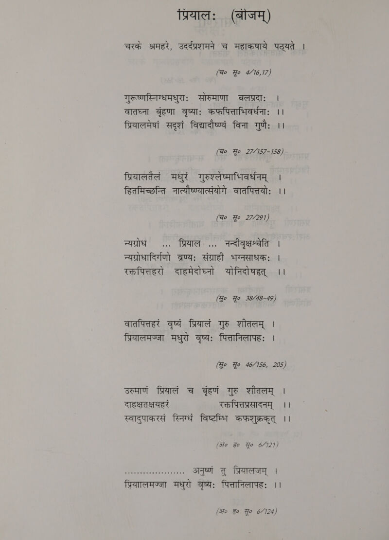 प्रियालः (बीजम्‌) चरके श्रमहर, उदर्दप्रशमने च महाकषाये पठ्यते | (Fo Yo 4/16,17) गुरूष्णस्निग्धमधुराः सोरुमाणा बलप्रदाः । वातघ्ना बृंहणा वृष्याः कफपित्ताभिवर्धनाः ।। प्रियालमेषां सदृशं विद्यादौष्ण्यं विना गुणैः ।। (Fo Yo 27/157-158) प्रियालतैलं मधुरं गुरुश्लेष्माभिवर्धनम्‌ । हितमिच्छन्ति नात्यौष्ण्यात्संयोगे वातपित्तयोः ।। (qo Yo 27/291) न्यग्रोध ... प्रियाल ... नन्दीवृक्षश्चेति । न्यग्रोधादिर्गणो व्रण्यः संग्राही भग्नसाधकः । रक्तपित्तहरो दाहमेदोघ्नो योनिदो षहत्‌ ।। (Jo Yo 38/48-49) वातपित्तहरं वृष्यं प्रियालं गुरु शीतलम्‌ | प्रियालमज्जा मधुरो वृष्यः पित्तानिलापहः | (Yo Yo 46/156, 205) उरुमाणं प्रियालं च बृहणं गुरु शीतलम्‌ । दाहक्षतक्षयहरं रक्तपित्तप्रसादनम्‌ ।। स्वादुपाकरसं स्निग्धं विष्टम्भि कफशुक्रकृत्‌ | (अ० ह Yo 6/121) LN, अनुष्णं तु warns | प्रियालमज्जा मधुरो वृष्यः पित्तानिलापहः ।। (अ० Fo Yo 6/124)
