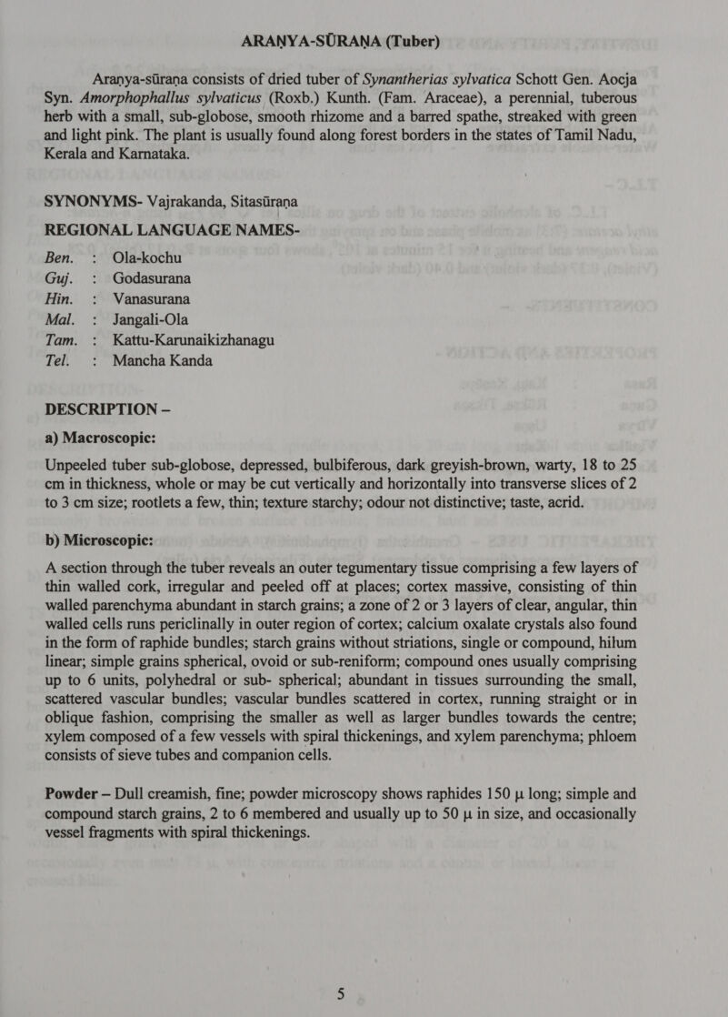 ARANYA-SURANA (Tuber) Aranya-surana consists of dried tuber of Synantherias sylvatica Schott Gen. Aocja Syn. Amorphophallus sylvaticus (Roxb.) Kunth. (Fam. Araceae), a perennial, tuberous herb with a small, sub-globose, smooth rhizome and a barred spathe, streaked with green and light pink. The plant is usually found along forest borders in the states of Tamil Nadu, Kerala and Karnataka. SYNONYMS- Vajrakanda, Sitastirana REGIONAL LANGUAGE NAMES- Ben. : Ola-kochu Guj. : Godasurana Hin. : Vanasurana Mal. : Jangali-Ola Tam. : Kattu-Karunaikizhanagu Tel. : Mancha Kanda DESCRIPTION — a) Macroscopic: Unpeeled tuber sub-globose, depressed, bulbiferous, dark greyish-brown, warty, 18 to 25 cm in thickness, whole or may be cut vertically and horizontally into transverse slices of 2 to 3 cm size; rootlets a few, thin; texture starchy; odour not distinctive; taste, acrid. b) Microscopic: A section through the tuber reveals an outer tegumentary tissue comprising a few layers of thin walled cork, irregular and peeled off at places; cortex massive, consisting of thin walled parenchyma abundant in starch grains; a zone of 2 or 3 layers of clear, angular, thin walled cells runs periclinally in outer region of cortex; calcium oxalate crystals also found in the form of raphide bundles; starch grains without striations, single or compound, hilum linear; simple grains spherical, ovoid or sub-reniform; compound ones usually comprising up to 6 units, polyhedral or sub- spherical; abundant in tissues surrounding the small, scattered vascular bundles; vascular bundles scattered in cortex, running straight or in oblique fashion, comprising the smaller as well as larger bundles towards the centre; xylem composed of a few vessels with spiral thickenings, and xylem parenchyma; phloem consists of sieve tubes and companion cells. Powder — Dull creamish, fine; powder microscopy shows raphides 150 |+ long; simple and compound starch grains, 2 to 6 membered and usually up to 50 p in size, and occasionally vessel fragments with spiral thickenings.