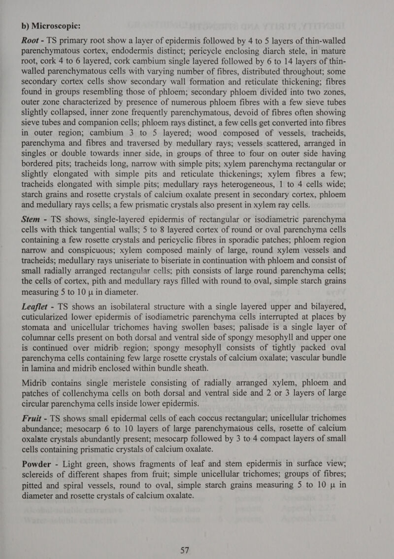 b) Microscopic: Root - TS primary root show a layer of epidermis followed by 4 to 5 layers of thin-walled parenchymatous cortex, endodermis distinct; pericycle enclosing diarch stele, in mature root, cork 4 to 6 layered, cork cambium single layered followed by 6 to 14 layers of thin- walled parenchymatous cells with varying number of fibres, distributed throughout; some secondary cortex cells show secondary wall formation and reticulate thickening; fibres found in groups resembling those of phloem; secondary phloem divided into two zones, outer zone characterized by presence of numerous phloem fibres with a few sieve tubes slightly collapsed, inner zone frequently parenchymatous, devoid of fibres often showing sieve tubes and companion cells; phloem rays distinct, a few cells get converted into fibres in outer region; cambium 3 to 5 layered; wood composed of vessels, tracheids, parenchyma and fibres and traversed by medullary rays; vessels scattered, arranged in singles or double towards inner side, in groups of three to four on outer side having bordered pits; tracheids long, narrow with simple pits; xylem parenchyma rectangular or slightly elongated with simple pits and reticulate thickenings; xylem fibres a few; tracheids elongated with simple pits; medullary rays heterogeneous, 1 to 4 cells wide; starch grains and rosette crystals of calcium oxalate present in secondary cortex, phloem and medullary rays cells; a few prismatic crystals also present in xylem ray cells. Stem - TS shows, single-layered epidermis of rectangular or isodiametric parenchyma cells with thick tangential walls; 5 to 8 layered cortex of round or oval parenchyma cells containing a few rosette crystals and pericyclic fibres in sporadic patches; phloem region narrow and conspicuous; xylem composed mainly of large, round xylem vessels and tracheids; medullary rays uniseriate to biseriate in continuation with phloem and consist of small radially arranged rectangular cells; pith consists of large round parenchyma cells; the cells of cortex, pith and medullary rays filled with round to oval, simple starch grains measuring 5 to 10 p in diameter. Leaflet - TS shows an isobilateral structure with a single layered upper and bilayered, cuticularized lower epidermis of isodiametric parenchyma cells interrupted at places by stomata and unicellular trichomes having swollen bases; palisade is a single layer of columnar cells present on both dorsal and ventral side of spongy mesophyll and upper one is continued over midrib region; spongy mesophyll consists of tightly packed oval parenchyma cells containing few large rosette crystals of calcium oxalate; vascular bundle in lamina and midrib enclosed within bundle sheath. Midrib contains single meristele consisting of radially arranged xylem, phloem and patches of collenchyma cells on both dorsal and ventral side and 2 or 3 layers of large circular parenchyma cells inside lower epidermis. Fruit - TS shows small epidermal cells of each coccus rectangular; unicellular trichomes abundance; mesocarp 6 to 10 layers of large parenchymatous cells, rosette of calcium oxalate crystals abundantly present; mesocarp followed by 3 to 4 compact layers of small cells containing prismatic crystals of calcium oxalate. Powder - Light green, shows fragments of leaf and stem epidermis in surface view; sclereids of different shapes from fruit; simple unicellular trichomes; groups of fibres; pitted and spiral vessels, round to oval, simple starch grains measuring 5 to 10 p in diameter and rosette crystals of calcium oxalate.