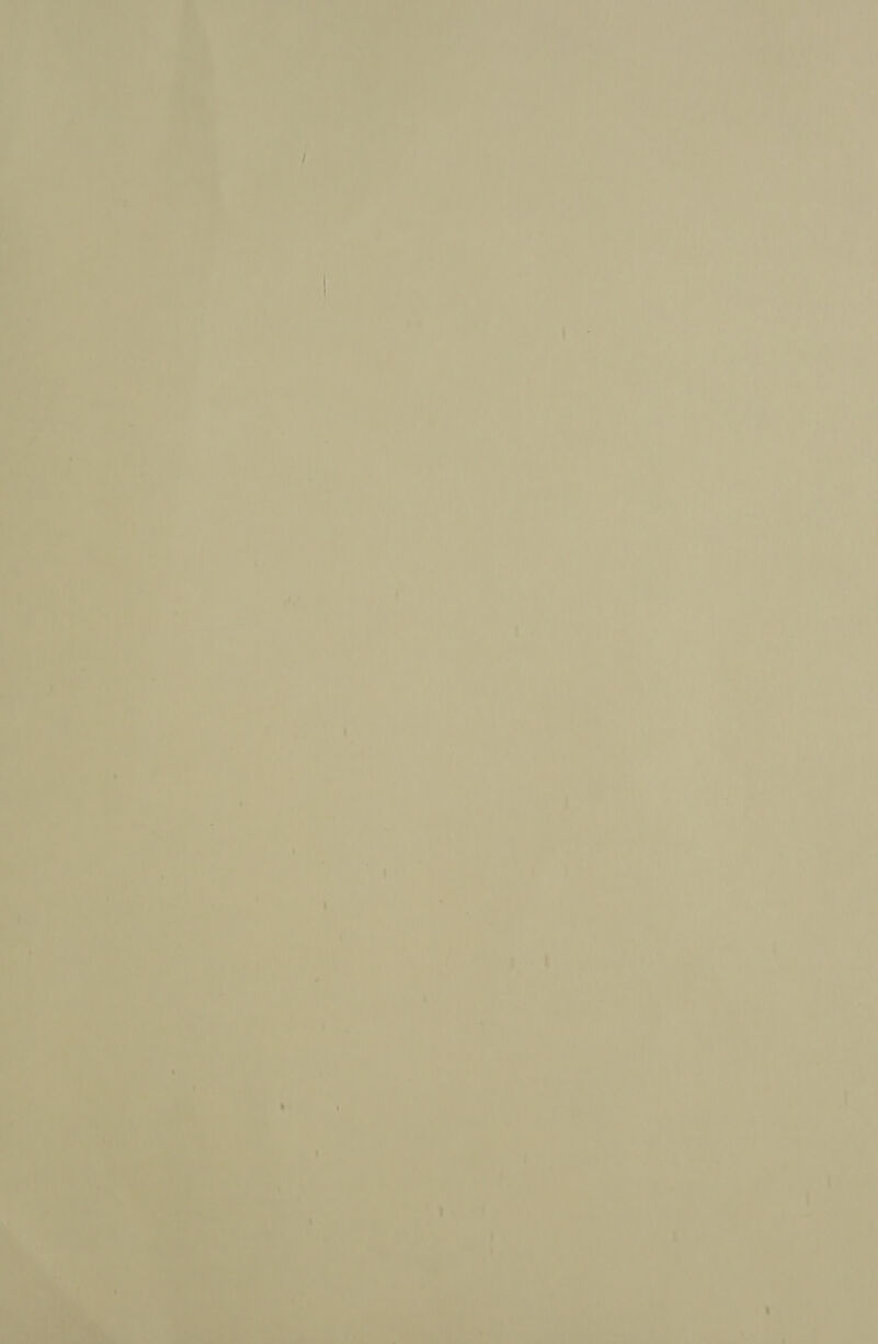 — yaa : oat oe) fakes 42 -— i ~.=t  : : os ghee A a a ‘i its ce < hee _ 7 ees a ie sok ee “|, aie ie  = ~\b   