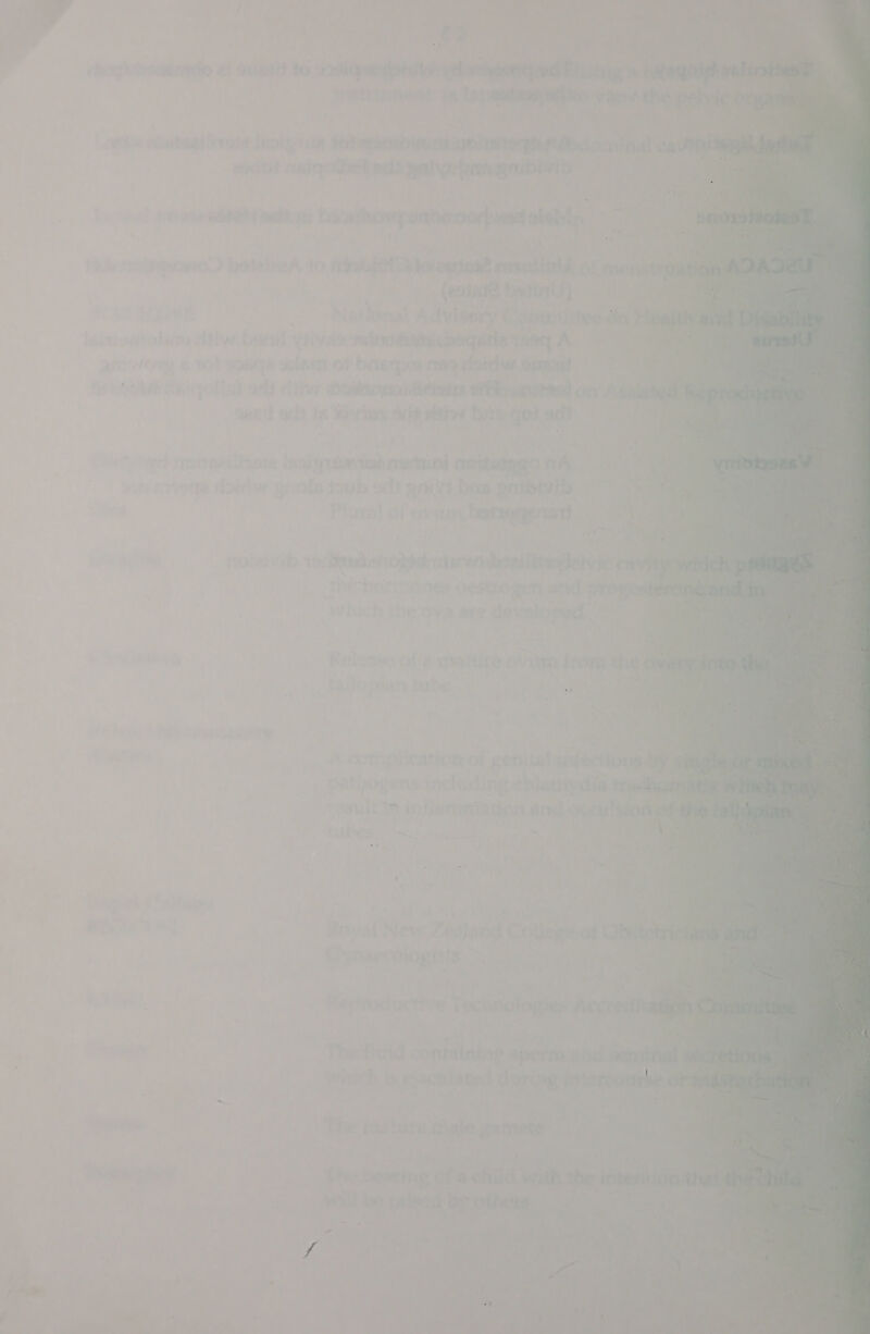      ae tia ad ieial view ries pete seins ninal ea nevi foes Rr gnibivih $4t 589 * ~ae ceecone th  C4; P ts 1 ' iVulle Ta eh id OCC SE sie aAl aber <> (wert iG we ’ at al , tA im roy ay: “ie gamete mir: tae logn cotvetngs eae) = Caley ae ar i oe) ims ioe vy, mie (4 9 Pa i a f yet ‘a : ae > ae ran) 7