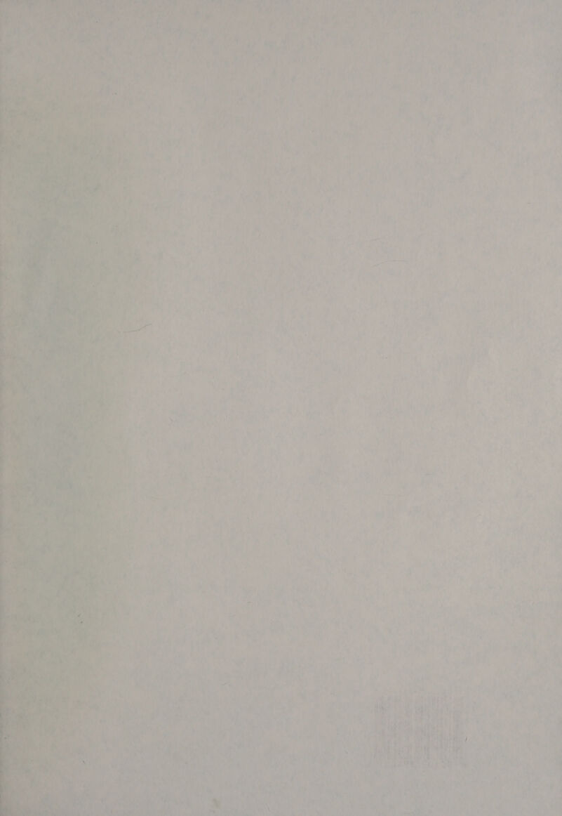 ThA ol: mn | y f 19 7 ‘ a i x af ie we) A) a J  