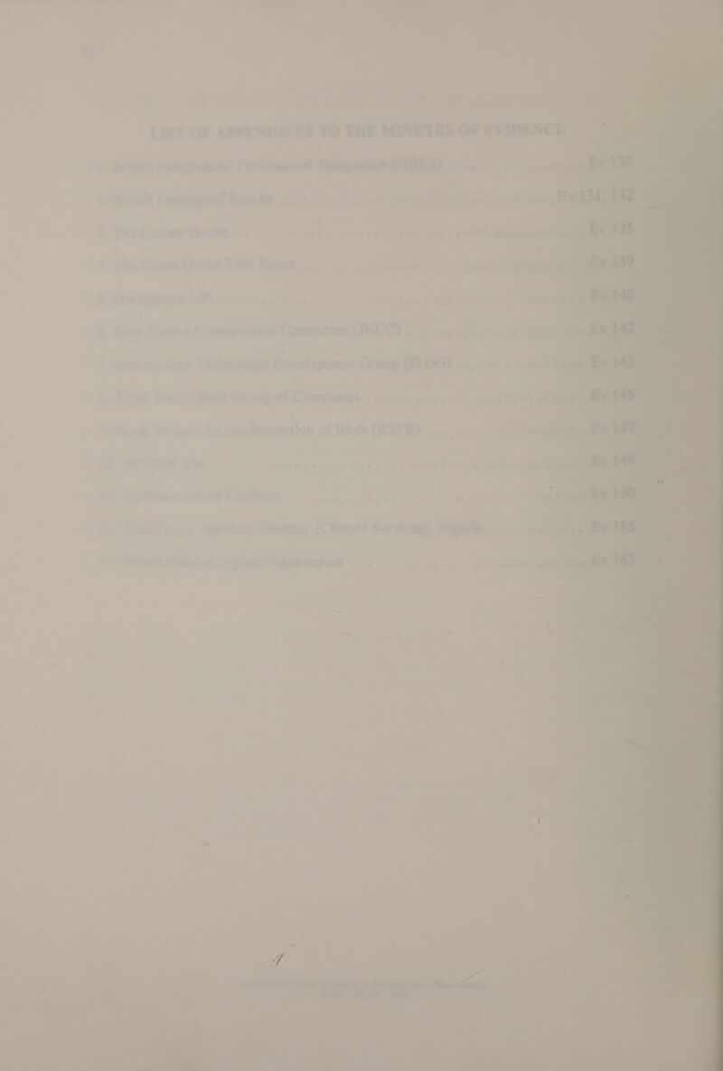 on             aL item Tae uv, ve Last OF LPoENDICES 1O THE MINUTRA OF EVIDENCE. ere: een ft Professional Assocmioh /BBPA) . ee  erat) Checvlaygt late Survey cots ye 8 or De err eS ee +e eee The &amp; reer 1 hie foe reo tiboaes eras shee o Ve Wey a : oo) , chy hource ai” 2. oe ee) ke iene | ae Es T J ipeer erm se oe 8 2 « © @ene es © ee Ce a ~~» * uel “” o wer F nrors anne Committee (INCE) isis «ine yas ks oie el es. a oven + Development Group TING} nce a ‘4 ne ae, ol} Comp of Companies ..csc esas ce hea ¥ Rvapory toy dee Pratpetion of Birds (RSPB). ... , wile -: VOUT weed (raetoi (Climate Servings), Nigeria: .. ae ow ( gdmazation , 