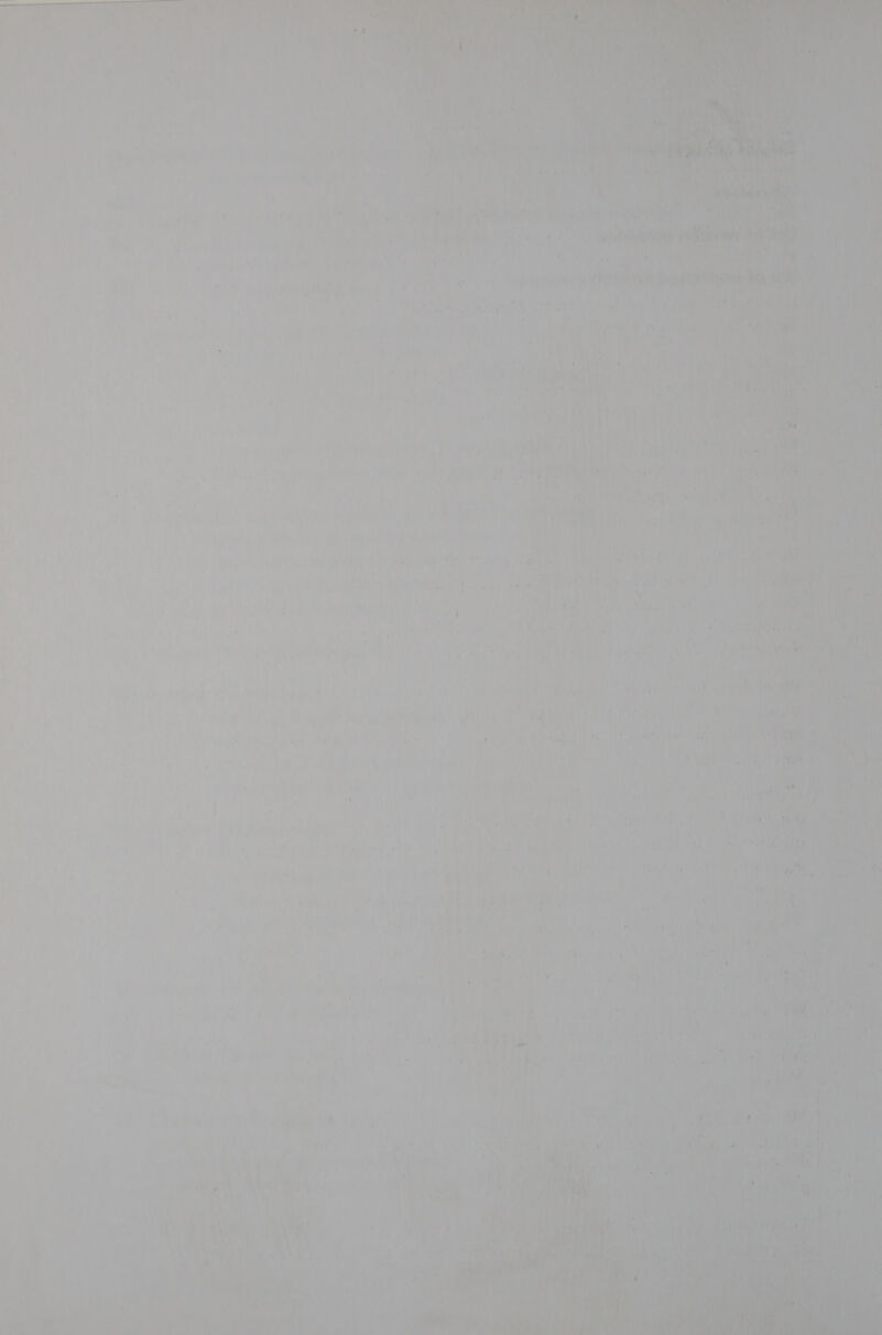 7; \ ie iy nee i ; t ai - Fe i “fea .f ut ae woe r ce Pr ise ae 7 a) Viegas ‘ / ay 