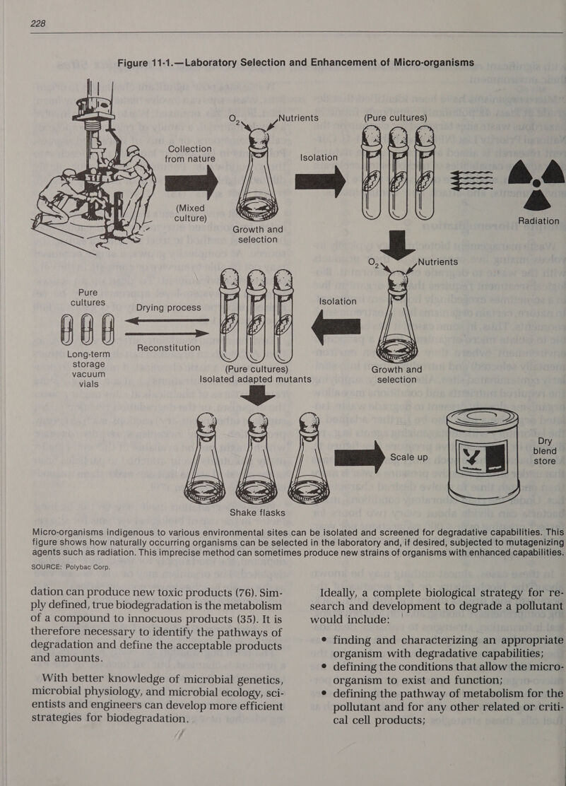  Figure 11-1.—Laboratory Selection and Enhancement of Micro-organisms   (Mixed culture) Radiation Growth and selection   Nutrients Drying process 166— Reconstitution Long-term 208 (Pure cultures) Growth and vials Isolated adapted mutants selection blend store  Micro-organisms indigenous to various environmental sites can be isolated and screened for degradative capabilities. This figure shows how naturally occurring organisms can be selected in the laboratory and, if desired, subjected to mutagenizing agents such as radiation. This imprecise method can sometimes produce new strains of organisms with enhanced capabilities. SOURCE: Polybac Corp. dation can produce new toxic products (76). Sim- ply defined, true biodegradation is the metabolism of a compound to innocuous products (35). It is therefore necessary to identify the pathways of degradation and define the acceptable products and amounts. With better knowledge of microbial genetics, microbial physiology, and microbial ecology, sci- entists and engineers can develop more efficient strategies for biodegradation. Ideally, a compiete biological strategy for re- search and development to degrade a pollutant would include: e finding and characterizing an appropriate organism with degradative capabilities; ¢ defining the conditions that allow the micro- organism to exist and function; ¢ defining the pathway of metabolism for the pollutant and for any other related or criti- cal cell products;