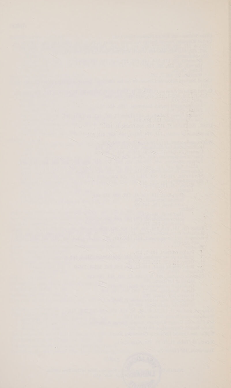         a 6p ia of Peas r . 7 - , ; i . 7 - % ‘ - vs i= 7 ’ ; Le ts . a ; 3 7 2 Pon, ‘ ar « oP eG aA aw ' , ¢ &gt; ‘ p @ 7 Pe | ; ; cA. ' -; Ch os tat tj in de ; ' f ae it} ae os = F ‘ “7 » ” tha @4) : ; ' a ee : J bs 4 Pie trac. toes si at ° mis : Bs : 7 « Pe, ie, ee ; Be i P . ¢ . aS 7 i Act : au ead os eee +20! &amp; . — \ 2 p - &gt; ae ae - ¢ the s* 7 ; , LFe ath Ree oF E ace 4. 7 : 7 u « - % ’ et . » er * ¥ ‘- - ~ a - ~~ ; 7 a . . 7 i 4 , * &lt;2 o%: &gt; a6: . boas ae ay Be é rome’, cl ole  , ry - - 7 _ n A = 3 - - 7 = ot reerss? At &gt; ij see? er ~ NOT beret 5 gee