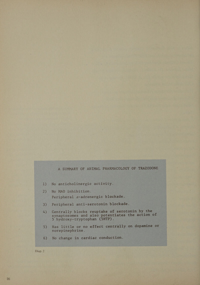   + i “ a @ PI 1 oe A &lt;p wet Dio | Ri È meat? t ail aS è ’ A * ' Pa} \ AS. © t | : 7 i i :  