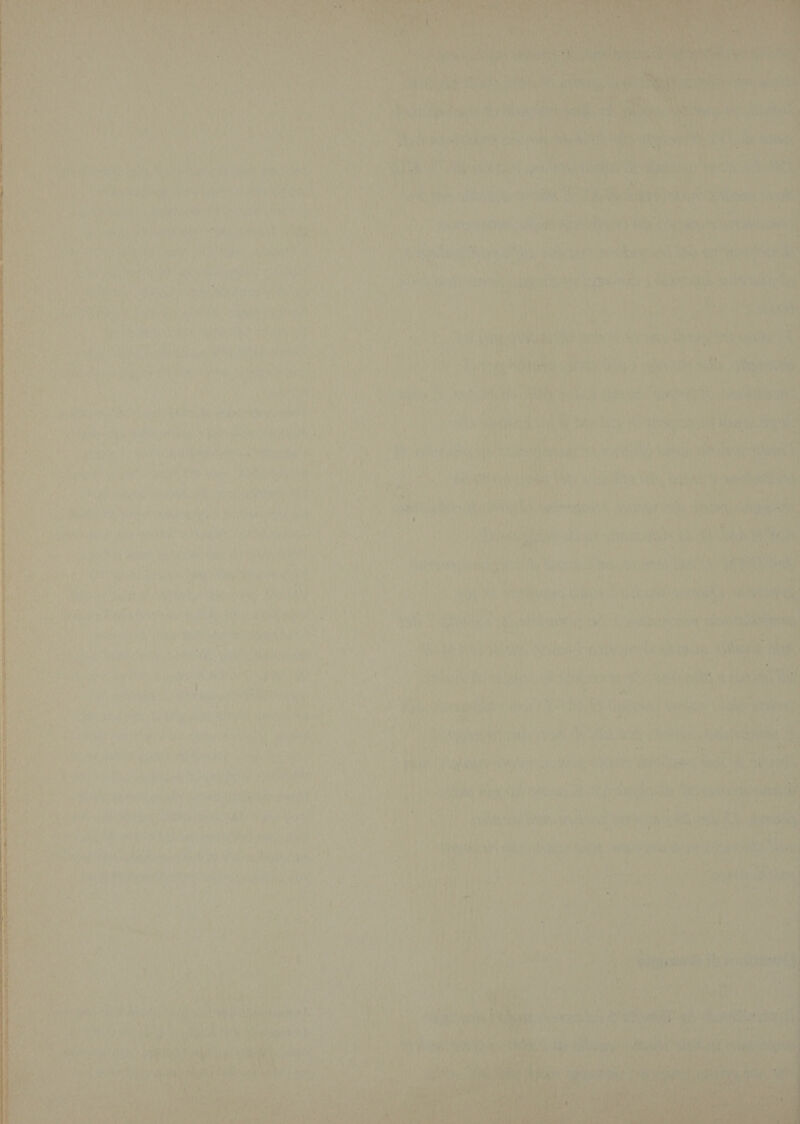 a FSP my Me A ee da i 1 alati es PA ra : TEA SEAS) th hou P NÒ ì La è hi Eat geet si Borate 34 Ue: 1A sie an ' Lan