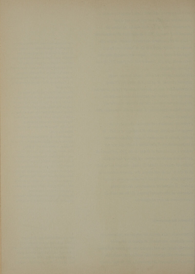 2. n° è P i Meli f ' eu &gt; ¢ ’ € DI. : 5 uf See? ial eee PARINI 4 iP’? o dui 