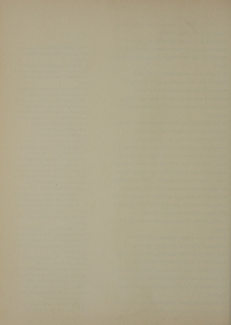 Yr : rag se i Pad ud oo Sale A deo è Os sd * bali z zi È