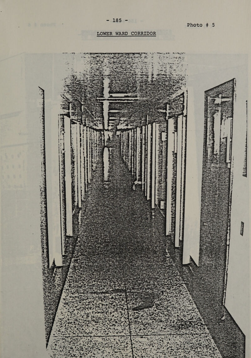 Photo # 5 LOWER WARD CORRIDOR oo en ee ge ee ee meee 7 oy r Ny 42 thes =e Soe ey ae s » ee es . 
