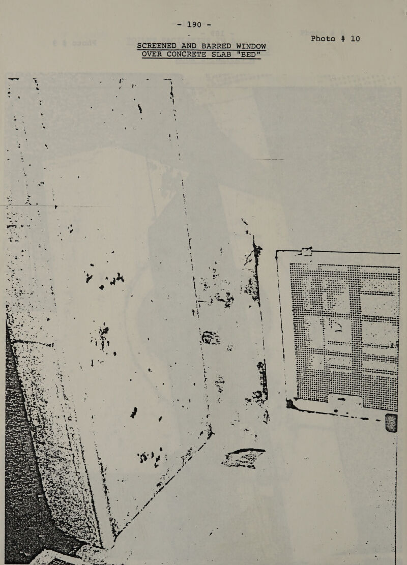 =i 190= Photo # 10 SCREENED AND BARRED WINDOW OVER CONCRETE SLAB BED rine. Rte i ca aks : . oer ee . s &lt; “4 s . { : e 4 te , ® : ; A . ks ‘ ~ $ * ‘ ; ; &lt; @ ’ : s; . = ' é- * ' = ae on 2a a = ., é : ; . ad \  ? *Saahlaioe ay 