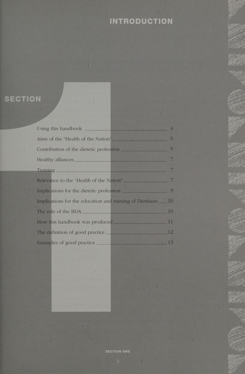  Sy =len gle)  Using this handbook Pereeeeee reer rer rrerr irr r rrr Aims of the “Health of the Nation  Contribution of the dietetic profes Peeereeererrrerrrerer errr rerererrrrri rr! Healthy alliances  tReet ener e ween eee e eee seen ee eee eee ne ener esse easeeseeeees   reer rere rrr  2) 