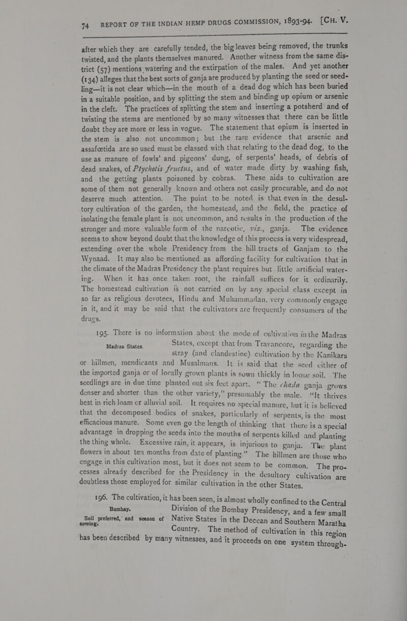 ce a i a nN ee a a ed he after which they are carefully tended, the big leaves being removed, the trunks twisted, and the plants themselves manured. Another witness from the same dis- trict (57) mentions watering and the extirpation of the males. And yet another (134) alleges that the best sorts of ganja are produced by plantin g the seed or seed- ling—it is not clear which—in the mouth of a dead dog which has been buried in a suitable position, and by splitting the stem and binding up opium or arsenic in the cleft. The practices of splitting the stem and inserting a potsherd and of twisting the stems are mentioned by so many witnesses that there can be little doubt they are more or less in vogue. The statement that opium 1s inserted in the stem is also not uncommon; but the rare evidence that arsenic and assafcetida areso used must be classed with that relating to the dead dog, to the use as manure of fowls’ and pigeons’ dung, of serpents’ heads, of debris of dead snakes, of Ptychotis fructus, and of water made dirty by washing fish, and the getting plants poisoned by cobras. These aids to cultivation are some of them not generally known and others not easily procurable, and do not deserve much attention. The point to be noted is that evenin the desul- tory cultivation of the garden, the homestead, and the field, the practice of isolating the female plant is not uncommon, and results in the production of the stronger and more valuable form of the narcotic, vs., ganja. The evidence seems to show beyond doubt that the knowledge of this process is very widespread, extending over the whole Presidency from the hill tracts of Ganjam to the Wynaad. It may also be mentioned as affording facility for cultivation that in the climate of the Madras Presidency the plant requires but little artificial water- ing. When it has once taken root, the rainfall suffices for it ordinarily. The homestead cultivation is not carried on by any special class except in so far as religious devotees, Hindu and Muhammadan, very commonly engage in it, and it may be said that the cultivators are frequently consumers of the drugs. 195. There is no information about the mode of cultivation inthe Madras States, except that from Travancore, regarding the stray (and clandestine) cultivation by the Kanikars or hillmen, mendicants and Musalmans. It is said that the seed cither of the imported ganja or of locally grown plants is sown thickly in loose soil. The seedlings are in due time planted out six feet apart. “ The chada denser and shorter than the other varicty,” presumably the male. Madras States, ganja grows “Tt thrives best in rich loam cr alluvial soil. It requires no special manure, but it is believed that the decomposed bodies of snakes, particularly of serpents, is the most efficacious manure. Some even go the length of thinking that there is advantage in dropping the seeds into the mouths of serpents killed the thing whole. Excessive rain, it appears, is injurious to flowers in about ten months from date of planting.” The hillmen are those who engage in this cultivation most, but it does not seem to be common. The pro- cesses already described for the Presidency in the desultory cultivation are doubtless those employed for similar cultivation in the other States. a special and planting ganja. The plant 196. The cultivation, it has been seen, is almost wholly confined to the Central Bonbaye | Division of the Bombay Presidency, and a few Wcendl me 5 and season of Native States in the Deccan and Southern Ma Country. The method of cultivation in this r has been described by many witnesses, and it proceeds on one system thr small ratha egion ough-