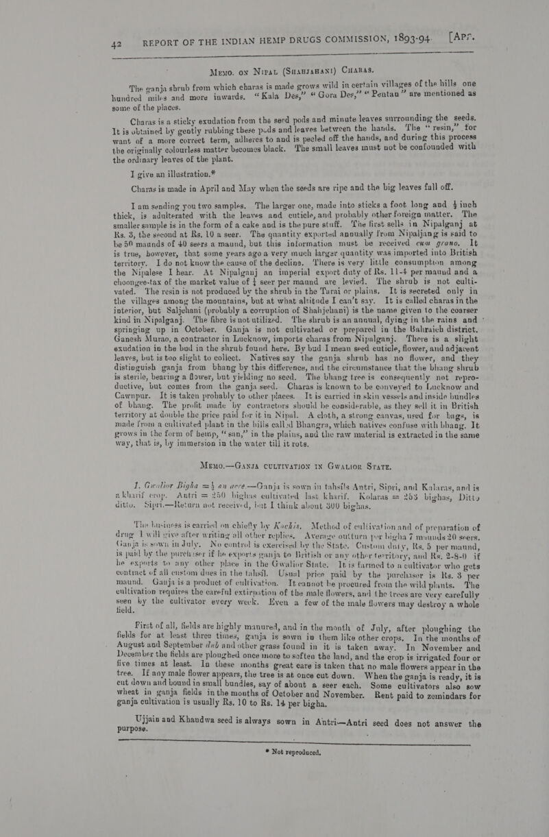   i Memo. on Nipvat (Saanssnant) Citaras. : ‘ aoe a wild in certain village a hills. one The wanja shrub from which charas is made grows Ww ild in cel oe vill ges of th ratte ‘ eee ce ; r ; ‘Qor: P . hundred mil-s and more inwards, “Kala Des,” “ Gora Des, entan” are men gome of the places. Charas is a sticky exudation from the seed pods and minute leaves surrounding the seeds. It is ubtained by gently rubbing these puds and leaves between the hands. ‘The “ resin,” . for want of a more correct term, adheves to and is pecled off the hands, and during this process the originally colourless matter becomes black. ‘The small leaves must not be confounded with the ordinary leaves of the plant. I give un illustration.* Charas is made in April and May when the seeds are ripe and the big leaves fall off. Tam sending you two samples, The larger one, made into sticks a foot long and 4 inch thick, is adulterated with the leaves aod cuticle, and probably other foreign matter. The smaller sample is in the form of a cake and is the pure stuff. ‘The first sells in Nipalganj at Rs, 3, the second at Rs, 10 a seer. The quantity exported anoually from Nipaljang is said to be 59 maunds of 40 seers a maund, but this information must be received cum grano, It is true, however, that some years agoa very much larger quantity was imported into British territory. I do not know the cause of the decline. ‘There is very little consumption among the Nipalese I hear. At Nipalganj an imperial export duty of Rs. 11-4 per maund and a choongee-tax of the market value of } seer per maund are levied. The shrub is not culti- vated. ‘Ihe resin is not produced by the shrub in the Tarai or plains, It is secreted only in the villages among the mountains, but at what alritnde I can’t say. It is called charas in the interior, but Saljehani (probably a corruption of Shahjelani) is the name given to the coarser kind in Nipalganj. ‘The fibre is not utilized. The shrub is an annual, dying in the rains and ° springing up in October. Ganja is not cultivated or prepared in the Bahraich district. Ganesk Murao, a contractor in Lucknow, imports charas from Nipalganj. There is a slight exudation in the bad in the shrub found here. By bud I mean seed cuticle, flower, and adjacent leaves, but is too slight to collect. Natives say the ganja shrub bas no flower, and they distinguish ganja from bhang by this difference, and the circumstance that the bhang shrub is sterile, bearing a flower, but yielding no seed. The bhang tree is consequently not repro- ductive, but comes from the ganja seed. Charas is known to be conveyed to Lucknow and Cawnpur. It is taken probably to other places. It is carried in skin vessels and inside bundles of bhang. The profit made by contractors should be considerable, as they sell it in British territory at double the price paid for it in Nipal. A cloth, a strong canvas, used for bags, is made from a cultivated plant in the hills eall.d Bhangra, which natives confuse with bhaog. It grows in the form of hemp, “san,” in the plains, and the raw material is extracted in the same way, that is, by immersion ia the water till it rots. Memo.—Gansa CULTIVATION In Gwatior Sratt. 1. Gealior Bigha =} an acre —Ganja is sown in tahsils Antri, Sipri, and Kalaras, and is ez kharif crop. Antri carat highs cultivated Jast kharif. Rolaras = 253 bighas, Ditty ditto. Siprim—Return pot reeeived, bat I think about S00 bigbas, The business is carried on chiefly ly Kackis. Method of cultivation and of preparation of drugw Twill vive after writing all other replies, Average outturn por bigha 7 maunds 20 seers, Ganja is sown in duly, No control is exereised by the State. Custom duty, Rs. 5 per maund, is pald by the purehiser if he exports canja to British or any other territory, and Rs, 2-8-0 if he exports to any other place in the Gwalior State. Itis farmed to a cultivator who gets contract of all custom does in the tahsil. Usual price paid by the purehaser is Rs. 3 “per maund, Ganja isa product of cultivation. Tt cannot be procured from the wild plints. The cultivation requires the careful extirpition of the male flowers, and the trees are very carefully ae by the cultivator every week, Even a few of the male flowers may destroy a whole field. First of all, fields are highly manured, and in the month of July, after ploughing the fields for at least three times, ganja is sown in them like other crops. In the months of August and September dud and other grass found in it is taken away. In November and December the fields are ploughed once more to soften the Jand, and the erop is irrigated four or five times at least. In these months great eare is taken that no male flowers appear in the tree. If any male flower appears, the tree is at once cut down. When the ganja is ready, it is cut down and bound in small bundles, say of about a seer each. Some cultivators also sow wheat in ganja fields inthe months of October and November. Rent paid to zemindars for ganja cultivation is usually Rs, 10 to Rs. 14 per bigha, Ujjain and Khandwa seed is always sown in Antri—Antri seed does not answer the purpose. SGA: Rani, Camara eamrmeneneraerene ne ner hie ee DE Ra * Not reproduced,