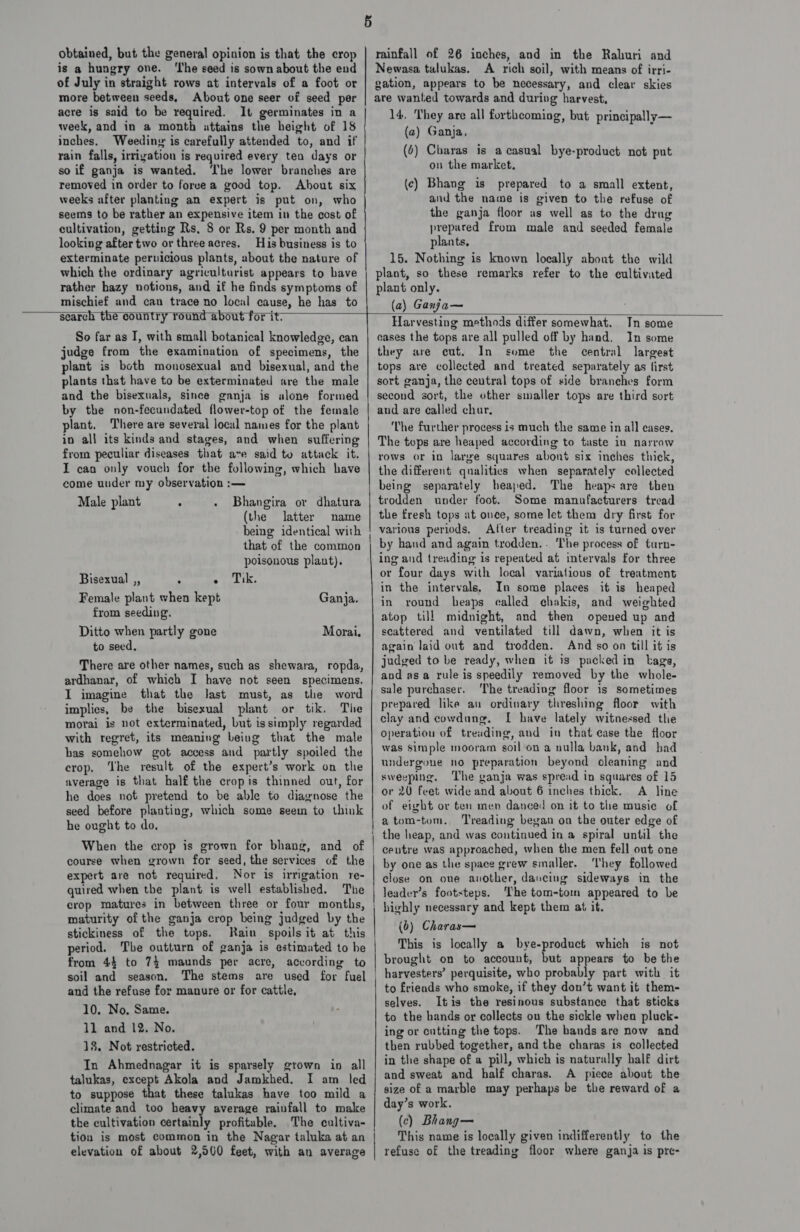 obtained, but the general opinion is that the crop | rainfall of 26 inches, and in the Rahuri and is a hungry one. ‘I'he seed is sown about the end | Newasa talukas, A rich soil, with means of irri- of July in straight rows at intervals of a foot or | gation, appears to be necessary, and clear skies more between seeds, About one seer of seed per | are wanted towards and during harvest, acre is said to be required. It germinates in a 14. They are all forthcoming, but principally— week, and in a month attains the height of 18 (a) eth *y Renee inches. Weeding is carefully attended to, and if ; rain falls, irrigation is required every ten days or (6) Charas is a casual bye-product not put so if ganja is wanted. ‘I'he lower branches are on the market. removed in order to force a good top. About six (c) Bhang is prepared to a small extent, weeks after planting an expert is put on, who and the name is given to the refuse of seems to be rather an expensive item in the cost of the ganja floor as well as to the drug cultivation, getting Rs, 8 or Rs. 9 per month and ager from male and seeded female piants, looking after two or three acres. His business is to exterminate pervicious plants, about the nature of 15. Nothing is known locally about the wild ———————EEE———————————EE rather hazy notions, and if he finds symptoms of | plant only. mischief and can trace no local cause, he has to (a) Ganja—   search the country round about for it. Harvesting methods differ somewhat. In some So far as I, with small botanical knowledge, can | cases the tops are all pulled off by hand. In some judge from the examination of specimens, the | they are cut. In some the central largest lant is both monosexual and bisexual, and the | tops ave collected and treated separately as first plants that have to be exterminated are the male | sort ganja, the central tops of side branches form and the bisexuals, since ganja is alone formed | second sort, the other smaller tops are third sort by the non-fecundated flower-top of the female | and are called chur. plant, There are several locul names for the plant The further process is much the same in all cases. in all its kinds and stages, and when suffering | The tops are heaped according to taste in narrow from peculiar diseases that ave said to attack it. | rows or in large squares abont six inches thick, I can only vouch for the following, which have | the different qualities when separately collected come uuder my observation :— being separately heaped. The heaps are then Male plant , . Bhangira or dhatura trodden under foot. Some manufacturers tread (the latter name | the fresh tops at once, some let them dry first for being identical with various periods. After treading it is turned over that of the common | by hand and again trodden.. The process of turn- which the ordinary agriculturist appears to = so these remarks refer to the cultivated er poisonous plaut). ing and treading is repeated at intervals for three Bisexual ,, ; . ik. or four days with local variations of treatment in the intervals, In some places it is heaped in round heaps ealled chakis, and weighted atop till midnight, and then opened up and Female plant when kept Ganja. from seeding. Ditto when partly gone Morai, | scattered and ventilated till dawn, when it is to seed, again laid out and trodden. And so on till it is There are other names, such as shewara, ropda, judged to be ready, when it is packed in Lags, ardhanar, of which I have not seen specimens. and asa rule is speedily removed by the whole- I imagine that the last must, as the word sale purchaser. ‘The treading floor 1s Sometimes implies, be the bisexual plant or tik. The prepared like au ordinary threshing floor with morai is not exterminated, but is simply regarded clay and cowdung, [ have lately witnessed the with regret, its meaning being that the male operation of treading, and in that case the floor has somehow got access and partly spoiled the | Ws simple mooram soil on a nulla bank, and had crop. The result of the expert’s work on the undergone no preparation beyond cleaning and average is that half the cropis thinned out, for | “Weepins. The ganja was epread in squares of 15 he does not pretend to be able to diagnose the | o 24 feet wide and about 6 inches thick. A line seed before planting, which some seem to think of eight or ten men danced on it to the musie of Phe tain ; atom-tom. Treading began on the outer edge of ? the heap, and was continued in a spiral until the centre was approached, when the men fell out one by one as the space grew smaller. ‘They followed close on one another, dancing sideways in the leader’s footsteps. The tom-tom appeared to be When the crop is grown for bhang, and of course when grown for seed, the services of the expert are not required. Nor is irrigation re- quired when the plant is well established. The crop matures in between three or four months, | hichly necessary and kept them at it, maturity of the ganja crop being judged by the ie eee stickiness of the tops. Rain spoils it at this OF, or eis period. The outturn of ganja is estimated to he This is locally a bye-product which is not from 44 to 74 maunds per acre, according to | brought on to account, but appears to be the soil and season. The stems are used for fuel | harvesters’ perquisite, who probably part with it and the refuse for manure or for cattle, to friends who smoke, if they don’t want it them- a fin Seend . selves. Itis the resinous substance that sticks sid45 : to the hands or collects ou the sickle when pluck- 18. Not restricted. then rubbed poseest and the iets , collected Tue ‘ ne : in the shape of a pill, which is naturally half dirt ath. eink eck re We ny a and sweat and half charas. A piece about the to suppose that these talukas have too mild a size of a marble may perhaps be the reward of a climate and too heavy average rainfall to make day’s work. the cultivation certainly profitable. The cultiva- (c) Bhang— tion is most common in the Nagar taluka at an This name is locally given indifferently to the elevation of about 2,500 feet, with an average | refuse of the treading floor where ganja is pre- 