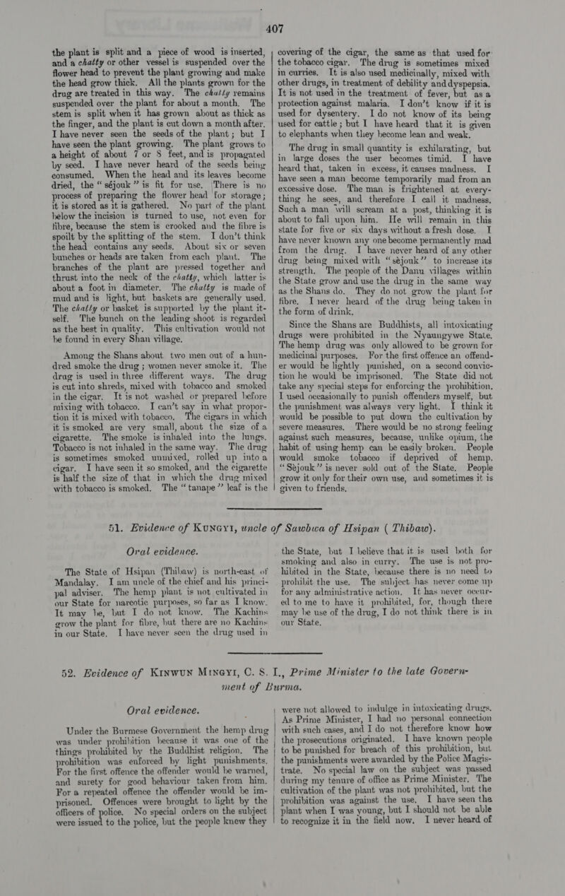 the plant is split and a piece of wood is inserted, and a chatty or other vessel is suspended over the flower head to prevent the plant growing and make the head grow thick. All the plants grown for the drug are treated in this way. The chatty remains suspended over the plant for about a month. The stem is split when it has grown about as thick as the finger, and the plant is cut down a month after. I have never seen the seeds of the plant; but I have seen the plant growing. The plant grows to a height of about 7 or 8 feet, and is propagated by seed. I have never heard of the seeds being consumed. When the head and its leaves become dried, the “séjouk ” is fit for use. (There is no process of preparing the flower head for storage ; it is stored as it is gathered, No part of the plant. below the incision is turned to use, not even for fibre, because the stem is crooked and the fibre is spoilt by the splitting of the stem. I don’t think the head contains any seeds, About six or seven bunches or heads are taken from each plant. The branches of the plant are pressed together and thrust into the neck of the chatty, which latter is about a foot m diameter. The chatty is made of mud and is light, but baskets are generally used. The chatly or basket is supported by the plant it- self. The bunch on the leading shoot is regarded as the best in quality. This cultivation would not he found in every Shan village. Among the Shans about two men out of a hun- dred smoke the drug ; women never smoke it. The drug is used in three different ways. The drug is cut into shreds, mixed with tobacco and smoked in the cigar. It is not washed or prepared before mixing with tobacco. I can’t say in what propor- tion it is mixed with tobacco, The cigars in which it is smoked are very small, about the size of a cigarette. The smoke is inhaled into the lungs. Tobacco is not inhaled in the same way. The drug is sometimes smoked unmixed, rolled up intoa cigar. I have seen it so smoked, and the cigarette is half the size of that in which the drug mixed with tobacco is smoked. The “ tanape”? leaf is the ee epee ARER PEALE Se ae covering of the cigar, the same as that used for: the tobacco cigar. The drug is sometimes mixed in curries. It is also used medicinally, mixed with other drugs, in treatment of debility and dyspepsia. It is not used in the treatment of fever, but asa protection against malaria. I don’t know if it is used for dysentery. Ido not know of its being used for cattle ; but I have heard that it is given to elephants when they become Jean and weak, The drug in small quantity is exhilarating, but in large doses the user becomes timid. I have heard that, taken in excess, it causes madness. I have seen a man become temporarily mad from an excessive dose. The man is frightened at every- thing he sees, and therefore I call it madness. Such a man Will scream at a post, thinking it is about to fali upon him. He will remain in this state for five or six days without afresh dose, I have never known any one become permanently mad from the drug. I have never heard of any other drug being mixed with “séjouk”’ to increase its strength. The people of the Danu villages within the State grow and use the drug in the same way as the Shans do. They do not grow the plant for fibre. TI never heard of the drug being taken in the form of drink. Since the Shans are Buddhists, all intoxicating drugs were prohibited in the Nyaungywe State. The hemp drug was only allowed to be grown for medicinal purposes, or the first: offence an offend- er would be lightly punished, on a second convic- tion he would be imprisoned. The State did not take any special steps for enforcing the prohibition. I used occasionally to punish offenders myself, but the punishment was always very light. I think it would be possible to put down the cultivation by severe measures. There would be no strong feeling against such measures, because, unlike opium, the habit of using hemp can be easily broken. People would smoke tobaceo if deprived of hemp, “Séjouk” is never sold out of the State. People grow it only for their own use, and sometimes it is given to friends,  Oral evidence. The State of Hsipan (Thibaw) is north-east, of Mandalay. I am uncle of the chief and his princi- pal adviser, The hemp plant is not cultivated in our State for narcotic purposes, so far as I know. It may he, but I do not know. The Kachins grow the plant for fibre, hut there are no Kachins in our State, I have never seen the drug used in the State, but I believe that it is used both for smoking and also in curry, The use is not pro- hibited in the State, because there is no need to prohibit the use. The subject, has never come np for any administrative action, It has never oceur- ed to me to have it prohibited, for, though there may be use of the drug, I do not think there is in our State, Oral evidence. Under the Burmese Government the hemp drug was under prohibition because it was one of the things prohibited by the Buddhist reigion. The prohibition was enforced by light punishments. For the first offence the offender would be warned, and surety for good behaviour taken from him. For a repeated offence the offender would be im- prisoned, Offences were brought to light by the officers of police. No special orders on the subject were issued to the police, but the people knew they were not allowed to indulge in intoxicating drugs. As Prime Minister, I had no personal connection with such cases, and I do not therefore know how to be punished for breach of this prohibition, but the punishments were awarded by the Police Magis- trate. No special law on the subject was passed during my tenure of office as Prime Minister, The cultivation of the plant was not prohibited, but the prohibition was against the use, I have seen the plant when I was young, but I should not be able to recognize it in the field now, I never heard of