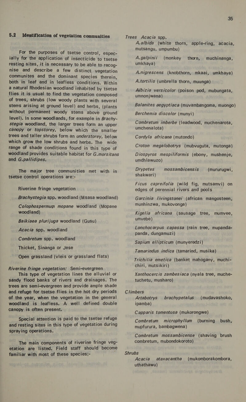 5.2 Identification of vegetation communities For the purposes of tsetse control, espec- ially for the application of insecticide to tsetse resting sites, it is necessary to be able to recog- nise and describe a few distinct vegetation communites and the dominant species therein, both in leaf and in leafless conditions. Within a natural Rhodesian woodland inhabited by tsetse flies it is usual to find the vegetation composed of trees, shrubs (low woody plants with several Stems arising at ground level) and herbs, (plants without permanent woody stems above ground level). In some woodlands, for example in Brachy- stegia woodland, the larger trees form an upper canopy or topstorey, below which the smaller trees and taller shrubs form an understorey, below which grow the low shrubs and herbs. The wide range of shade conditions found in this type of woodland provides suitable habitat for G.morsitans and G.pa/lidipes. The major tree communities met with in tsetse control operations are:- Riverine fringe vegetation Brachystegia spp. woodland (Msasa woodland) Colophospermum mopane woodland (Mopane woodland) Baikiaea plurijuga woodland (Gusu) Acacia spp. woodland Combretum spp. woodland Thicket, Sinanga or Jese Open grassland (vleis or grassland flats) Riverine fringe vegetation: Semi-evergreen This type of vegetation lines the alluvial or sandy flood banks of rivers and drainages. The trees are semi-evergreen and provide ample shade and refuge for tsetse flies in the hot dry periods of the year, when the vegetation in the general woodland is leafless. A well defined double Canopy is often present. Special attention is paid to the tsetse refuge and resting sites in this type of vegetation during Spraying operations. The main components of riverine fringe veg- etation are listed. Field staff should become familiar with most of these species:- 35 Trees Acacia spp. A.albida (white thorn, mutsangu, umpumbu) apple-ring, acacia, A.galpinii umkhaya) (monkey thorn, muchinanga, A.nigrescens (knobthorn, mkaai, umkhaya) A.tortilis (umbrella thorn, muunga) Adbizia versicolor (poison pod, mubungata, umnonjwana) Balanites aegyptiaca (muvambangoma, muongo) Berchemia discolor (munyi) Combretum imberbe (\eadwood, muchenarota, umchenalota) Cordyla africana (mutondo) Croton mega/lobotrys (mubvuguta, mutonga) Diospyros mespitiformis (ebony, mushenje, umdhlawuzo) Drypetes mossambicensis shakwari) (mururugwi, Ficus capreifolia (wild fig, mutsamvi) on edges of perennial rivers and pools Garcinia livingstonei (african mangosteen, munhinzwa, mukovonga) Kigelia africana (sausage tree, umvebe) mumvee, Lonchocarpus capassa (rain tree, mupanda- panda, dungamuzi) Sapium el/lipticum (munyeredzi) Tamarindus indica (tamarind, musika) Trichilia emetica (banket mahogany, muchi- chiri, mutsikiri) Xanthocercis zambesiaca (nyala tree, muche- tuchetu, musharo) Climbers Artabotrys ipamba) brachypeta/us (mudavashoko, Capparis tomentosa (mukorongwe) Combretum microphy//um (burning bush, mupfurura, bambagwena) Combretum mossambicense (shaving brush combretum, mubondokoroto) Shrubs Acacia ataxacantha uthathawu) (mukomborakombora,
