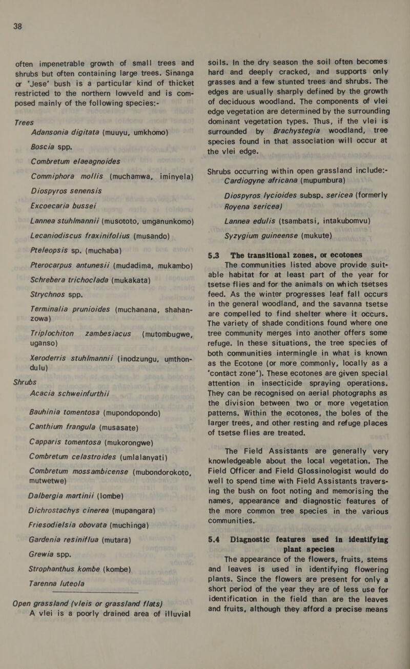 often impenetrable growth of small trees and shrubs but often containing large trees. Sinanga or ‘Jese’ bush is a particular kind of thicket restricted to the northern lowveld and is com- posed mainly of the following species:- Trees Adansonia digitata (muuyu, umkhomo) Boscia spp. Combretum elaeagnoides Commiphora mollis (muchamwa, iminyela) Diospyros senensis Excoecaria bussei Lannea stuh/mannii (musototo, umganunkomo) Lecaniodiscus fraxinifolius (musando) Pteleopsis sp. (muchaba) Pterocarpus antunesii (mudadima, mukambo) Schrebera trichoclada (mukakata) Strychnos spp. Terminalia prunioides (muchanana, shahan- zowa) Triplochiton zambesiacus uganso) (mutombugwe, Xeroderris stuh/mannii (inodzungu, umthon- dulu) Shrubs Acacia schweinfurthii Bauhinia tomentosa (mupondopondo) Canthium frangula (musasate) Capparis tomentosa (mukorongwe) Combretum celastroides (umlalanyati) Combretum mossambicense (mubondorokoto, mutwetwe) Dalbergia martinis (\ombe) Dichrostachys cinerea (mupangara) Friesodielsia obovata (muchinga) Gardenia resiniflua (mutara) Grewia spp. Strophanthus kombe (kombe) Tarenna luteola  Open grassland (vleis or grassland flats) A viei is a poorly drained area of illuvial soils. In the dry season the soil often becomes hard and deeply cracked, and supports only grasses and a few stunted trees and shrubs. The edges are usually sharply defined by the growth of deciduous woodland. The components of viei edge vegetation are determined by the surrounding dominant vegetation types. Thus, if the vlei is surrounded by Brachystegia woodland, tree species found in that association will occur at the viei edge. Shrubs occurring within open grassland include:- Cardiogyne africana (mupumbura) Diospyros lycioides subsp. sericea (formerly Royena sericea) Lannea edulis (tsambatsi, intakubomvu) Syzygium guineense (mukute) 5.3 The transitional zones, or ecotones The communities listed above provide suit- able habitat for at least part of the year for tsetse flies and for the animals on which tsetses feed. As the winter progresses leaf fall occurs in the general woodland, and the savanna tsetse are compelled to find shelter where it occurs. The variety of shade conditions found where one tree Community merges into another offers some refuge. In these situations, the tree species of both communities intermingle in what is known as the Ecotone (or more commonly, locally as a ‘contact zone’). These ecotones are given special attention in insecticide spraying operations. They can be recognised on aerial photographs as the division between two or more vegetation patterns. Within the ecotones, the boles of the larger trees, and other resting and refuge places of tsetse flies are treated. The Field Assistants are generally very knowledgeable about the local vegetation. The Field Officer and Field Glossinologist would do well to spend time with Field Assistants travers- ing the bush on foot noting and memorising the names, appearance and diagnostic features of the more common tree species in the various communities.. 5.4 Diagnostic features used in identifying plant species The appearance of the flowers, fruits, stems and leaves is used in identifying flowering plants. Since the flowers are present for only a short period of the year they are of less use for identification in the field than are the leaves and fruits, although they afford a precise means