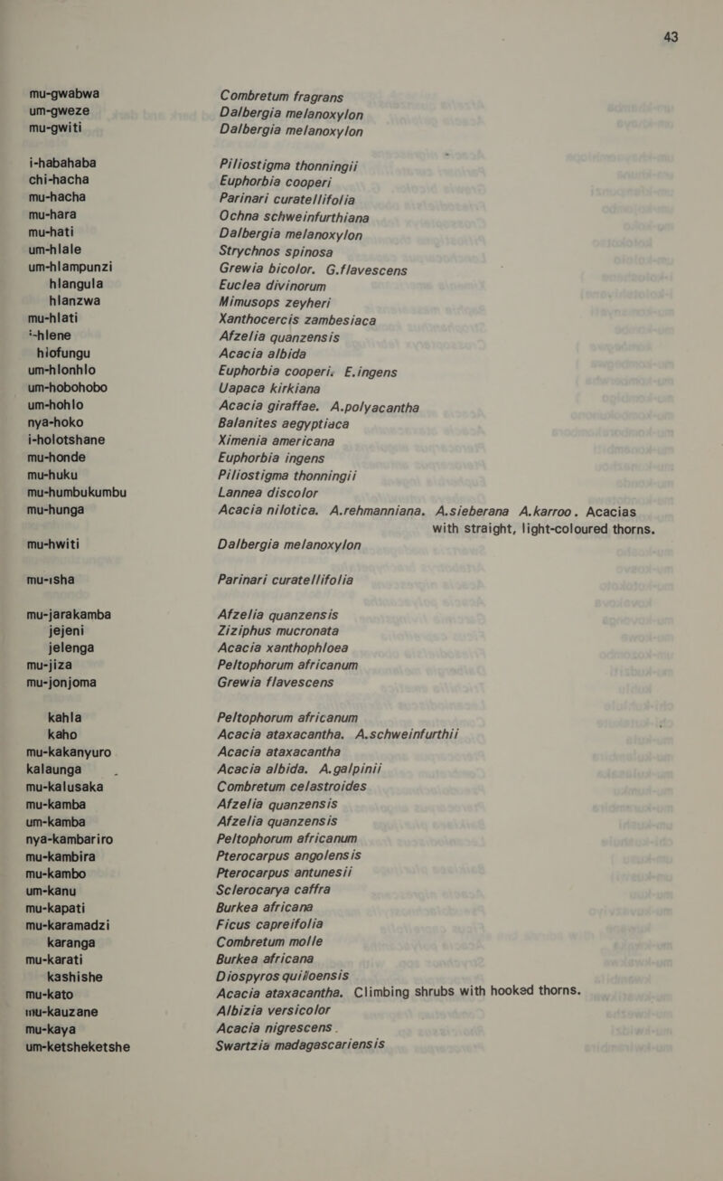 mu-gwabwa um-gweze mu-gwiti i-habahaba chi-hacha mu-hacha mu-hara mu-hati um-hlale um-hlampunzi hlangula hlanzwa mu-hlati ‘~-hlene hiofungu um-hlonhlo um-hobohobo um-hohlo nya-hoko i-holotshane mu-honde mu-huku mu-humbukumbu mu-hunga mu-hwiti mu-1sha mu-jarakamba jejeni jelenga mu-jiza mu-jonjoma kahla kaho mu-kakanyuro kalaunga mu-kalusaka mu-kamba um-kamba nya-kambariro mu-kambira mu-kambo um-kanu mu-kapati mu-karamadzi karanga mu-karati kashishe mu-kato mtu-kauzane mu-kaya um-ketsheketshe 43 Combretum fragrans Dalbergia melanoxylon Dalbergia melanoxy/on Piliostigma thonningii Euphorbia cooperi Parinari curate!/lifolia Ochna schweinfurthiana Dalbergia melanoxylon Strychnos spinosa Grewia bicolor. G.flavescens Euclea divinorum Mimusops zeyheri Xanthocercis zambesiaca Afzelia quanzensis Acacia albida Euphorbia cooperi: E.ingens Uapaca kirkiana Acacia giraffae. A.polyacantha Balanites aegyptiaca Ximenia americana Euphorbia ingens Piliostigma thonningii Lannea discolor Acacia nilotica. A.rehmanniana. A.sieberana A.karroo. Acacias with straight, light-coloured thorns. Dalbergia melanoxylon Parinari curatel/lifolia Afzelia quanzensis Ziziphus mucronata Acacia xanthophloea Peltophorum africanum Grewia flavescens Peltophorum africanum Acacia ataxacantha. A.schweinfurthii Acacia ataxacantha Acacia albida. A.galpinii Combretum celastroides Afzelia quanzensis Afzelia quanzensis Peltophorum africanum Pterocarpus angolensis Pterocarpus antunesii Sclerocarya caffra Burkea africana Ficus capreifolia Combretum molle Burkea africana Diospyros quiiloensis Acacia ataxacantha. Climbing shrubs with hooked thorns. Albizia versicolor Acacia nigrescens . Swartzia madagascariensis