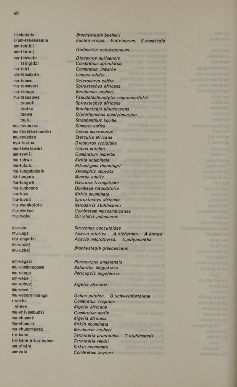 i-tshabela i/um-tshekesane um-tshibi ) um-tshini) mu-tshwele tsingidzi mu-tsiri um-tsombole mu-tsomo mu-tsomvori mu-tsonga mu-tsonzowa tsopoli tsotso tsowa tsulu mu-tsvanzva mu-tsvatsvamudiki mu-tsvedza nya-tsvipa mu-tswatswari um-tswili mu-tuhwa mu-tukutu mu-tungababala ka-tunguru mu-tungwa mu-tunhondo mu-tuva mu-tuvuti mu-twankololo mu-twetwe mu-tyoka mu-umi mu-unga chi-ungadzi mu-unze) mu-uzhe) um-vagazi mu-vambangoma mu-vanga um-vebe ) um-vebve) mu-veve ) mu-vezeramhanga i-vezha vheve mu-vhiyambudzi mu-vhumati mu-vhumira mu-vhunambezo i-vikane i-vikane elincinyane um-vimila um-vula Brachystegia boehmii Euclea crispa. E.divinorum. &amp;.monticola Guibourtia coleospermum Diospyros quiloensis Combretum apiculatum Combretum imberbe Lannea edulis Sc/erocarya caffra Spirostachys africana Berchemia zeyheri Pseudolachnostylis maprouneifolia Spirostachys africana Brachystegia glaucescens Diplorhynchus condylocarpon Strophanthus kombe Ximenia caffra Ochna macrocalyx Sterculia africana Diospyros lycioides Ochna pulchra Combretum imberbe Kirkia acuminata Piliostigma thonningii Xeromphis obovata Maerua edulis Garcinia livingstonei Dombeya rotundifolia Kirkia acuminata Spirostachys africana Xeroderris stuhimannii Combretum mossambicense Diricletia pubescens Strychnos cocculoides Acacia nilotica. A.sieberana. A.karroo Acacia macrothyrsa. A.polyacantha Brachystegia glaucescens Pterocarpus angolensis Balanites aegyptiaca Pericopsis angolensis Kigelia africana Ochna pulchra. O.schweinfurthiana Combretum fragrans Kigelia africana Combretum molle Kigelia africana Kirkia acuminata Berchemia zeyheri Terminalia prunioides. T.stuh/mannii Terminalia randii Kirkia acuminata Combretum zeyheri