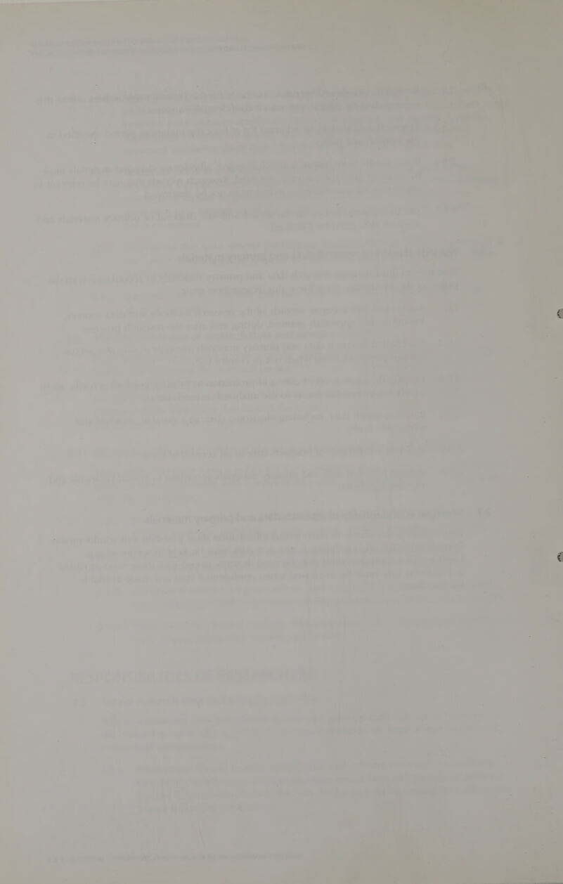 opie 1S ae ~ = qa a4, a            a : | >) | tie 2 a 0 ows pywhew wi ope etehors —— > °)) dei entities . Ar on Aes a nA a 7 a o vale &  Ps yo th ag yale eit at Amy » 7” 2 ney ; ae 7           ,wot jee a + PG hay 5 7 7 he I 4d ips 19 4 ait a the iw ee y ty 7) ae wat¢ ¥iGe L DOE Ene 4 tj a! r apn ¥ 4i - i dil, pn Therein